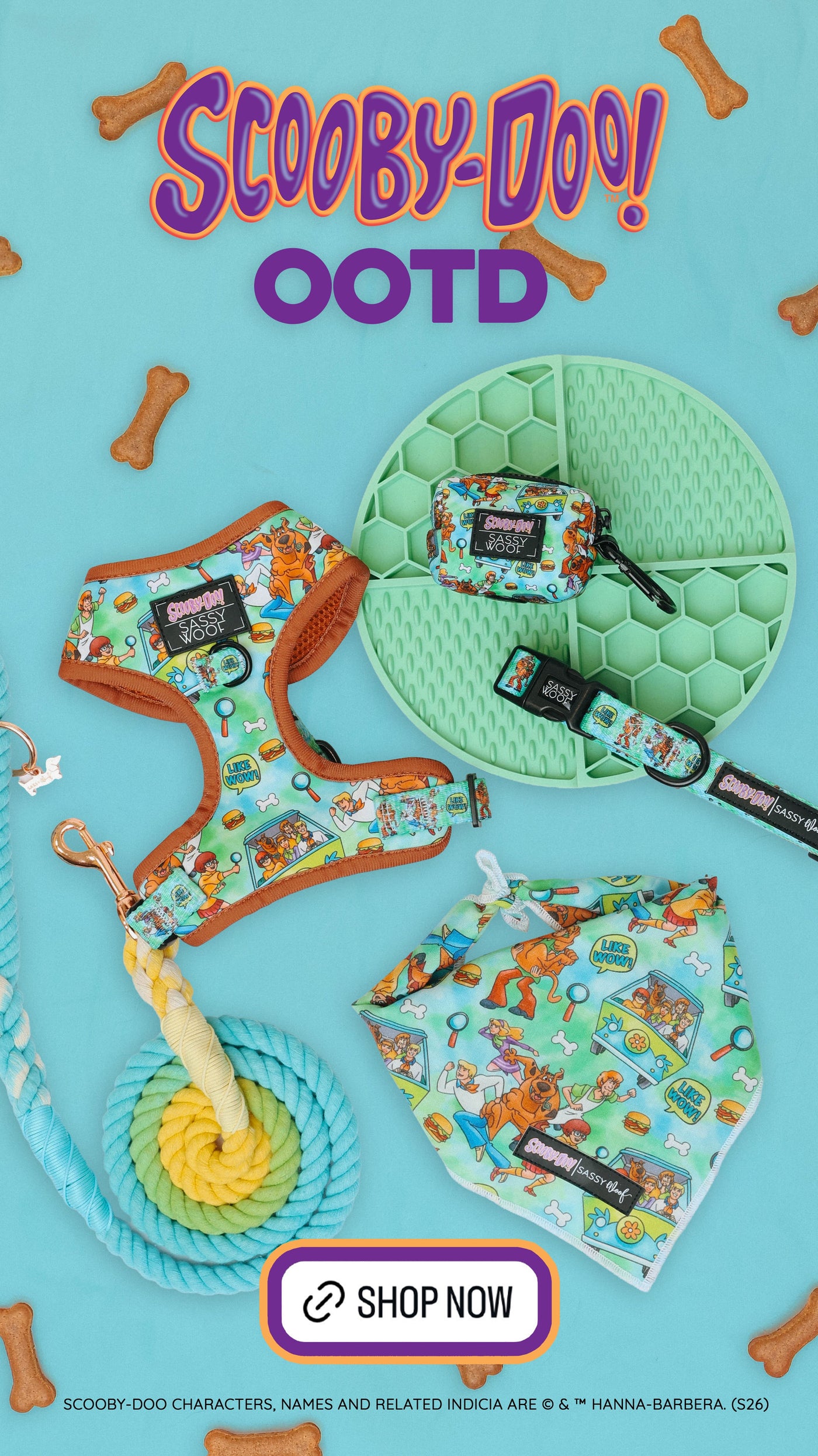Colorful pet accessories, including a harness with cartoon characters, a lilac bow tie, a matching leash, collar, hat, and rope leash, arranged on a wooden surface with Sunday OOTD text above.