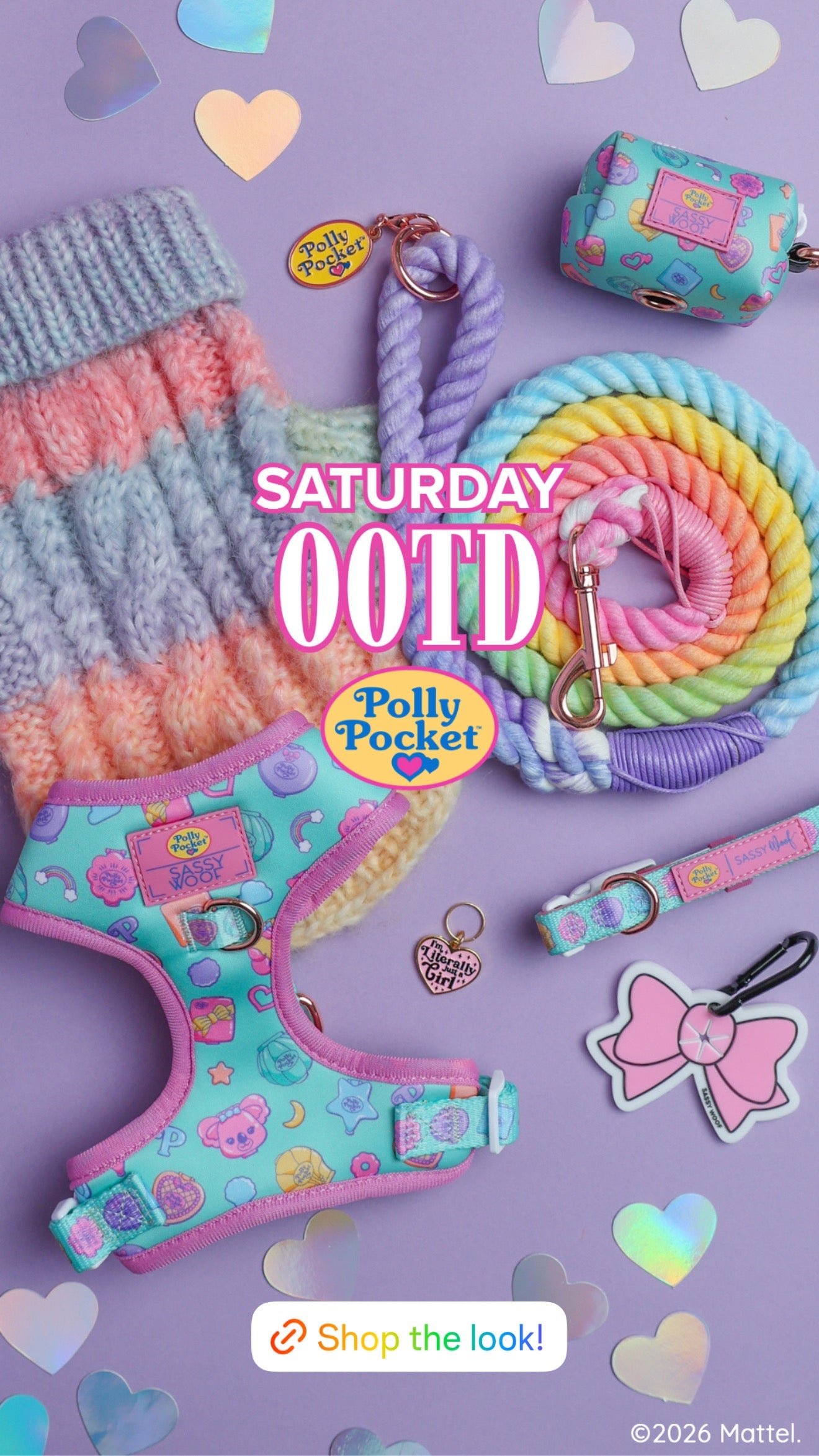 A flat lay of stylish pet accessories, including a blue harness with cartoon graphics, a matching bow tie, a rope toy, a waste bag holder, and a bracelet, with Sunday OOTD text above.