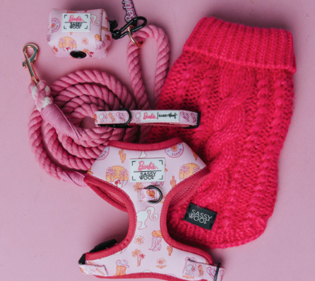 Shop the Look - Western Barbie