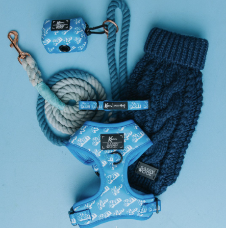 Shop the Look - Ken