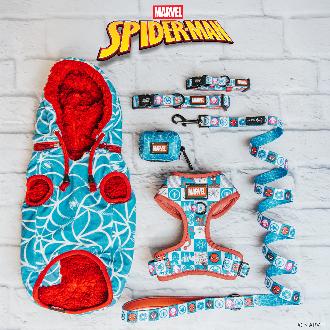 Marvel’s Spider-Man