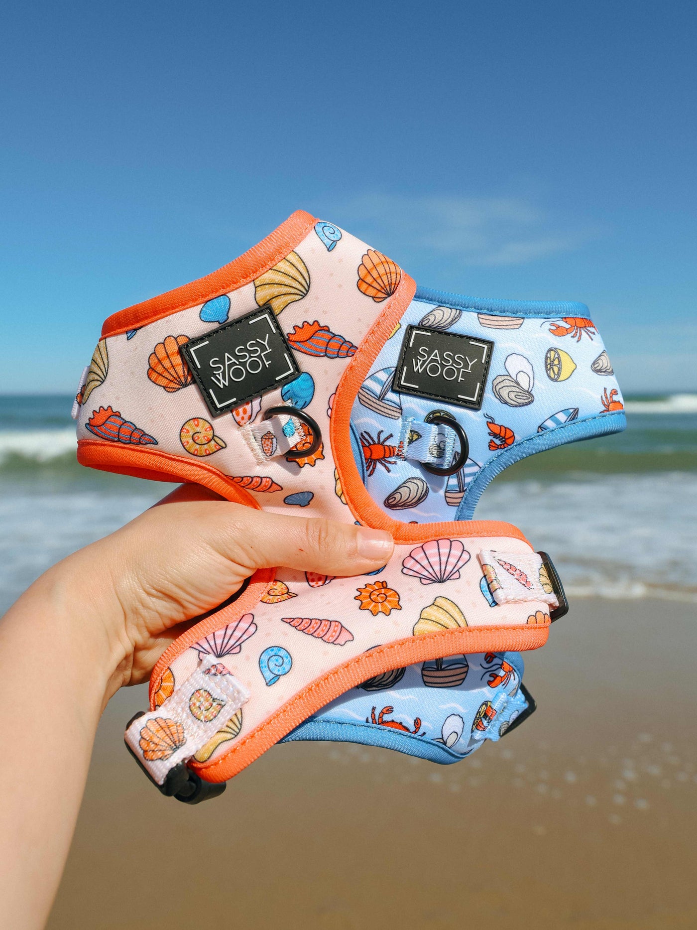 A hand holds three colorful dog harnesses with seashell and crab patterns, labeled “Sassy Woof,” on a sunny beach with waves and blue sky in the background.
