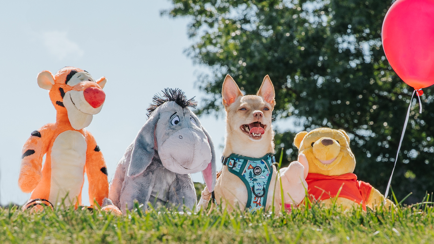 A happy dog sits on grass between stuffed animals of Tigger, Eeyore, and Winnie the Pooh, with a red balloon and trees in the background on a sunny day.
