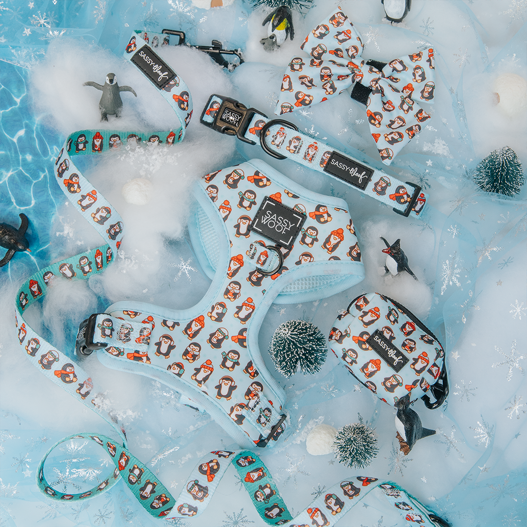 Dog harness, leash, collar, bow, and waste bag holder with cute penguin prints displayed on artificial snow and surrounded by small penguin figurines and miniature winter trees.