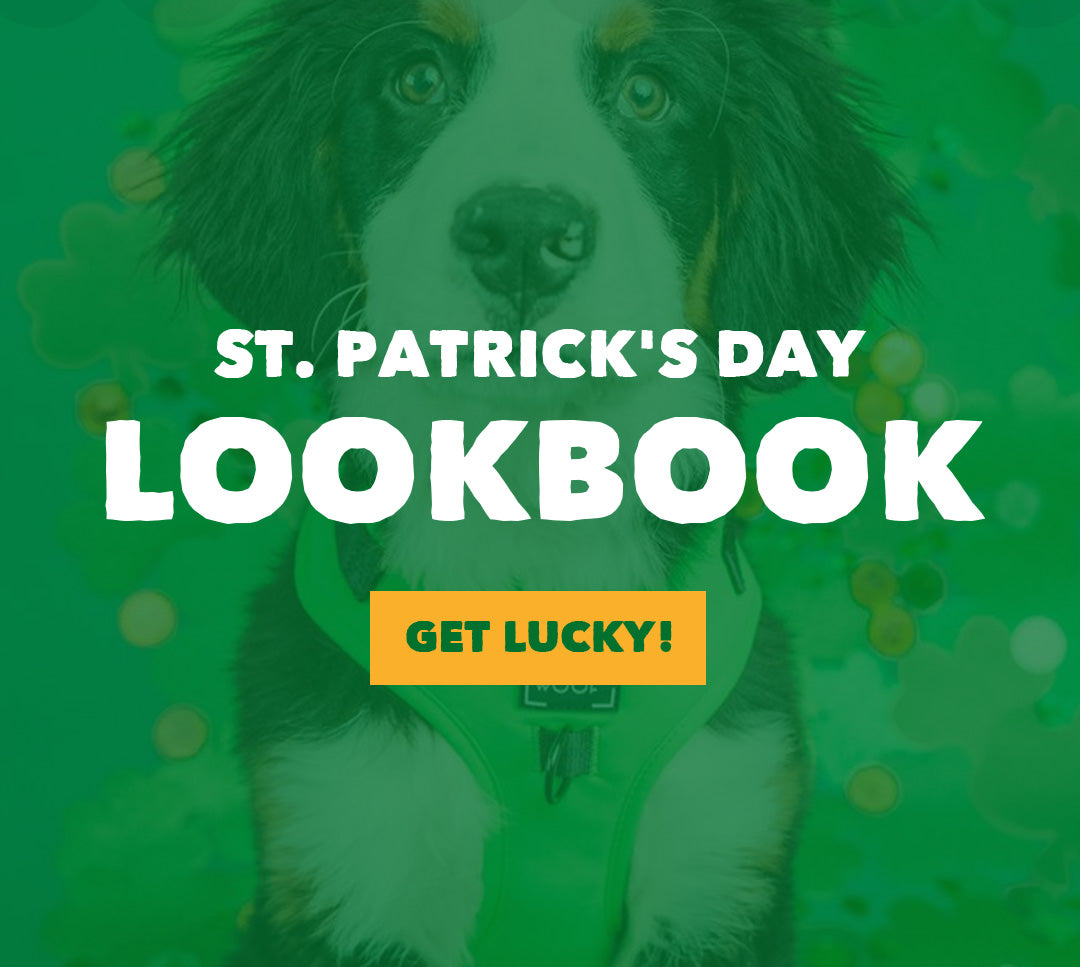 St. Patrick's Day Look Book