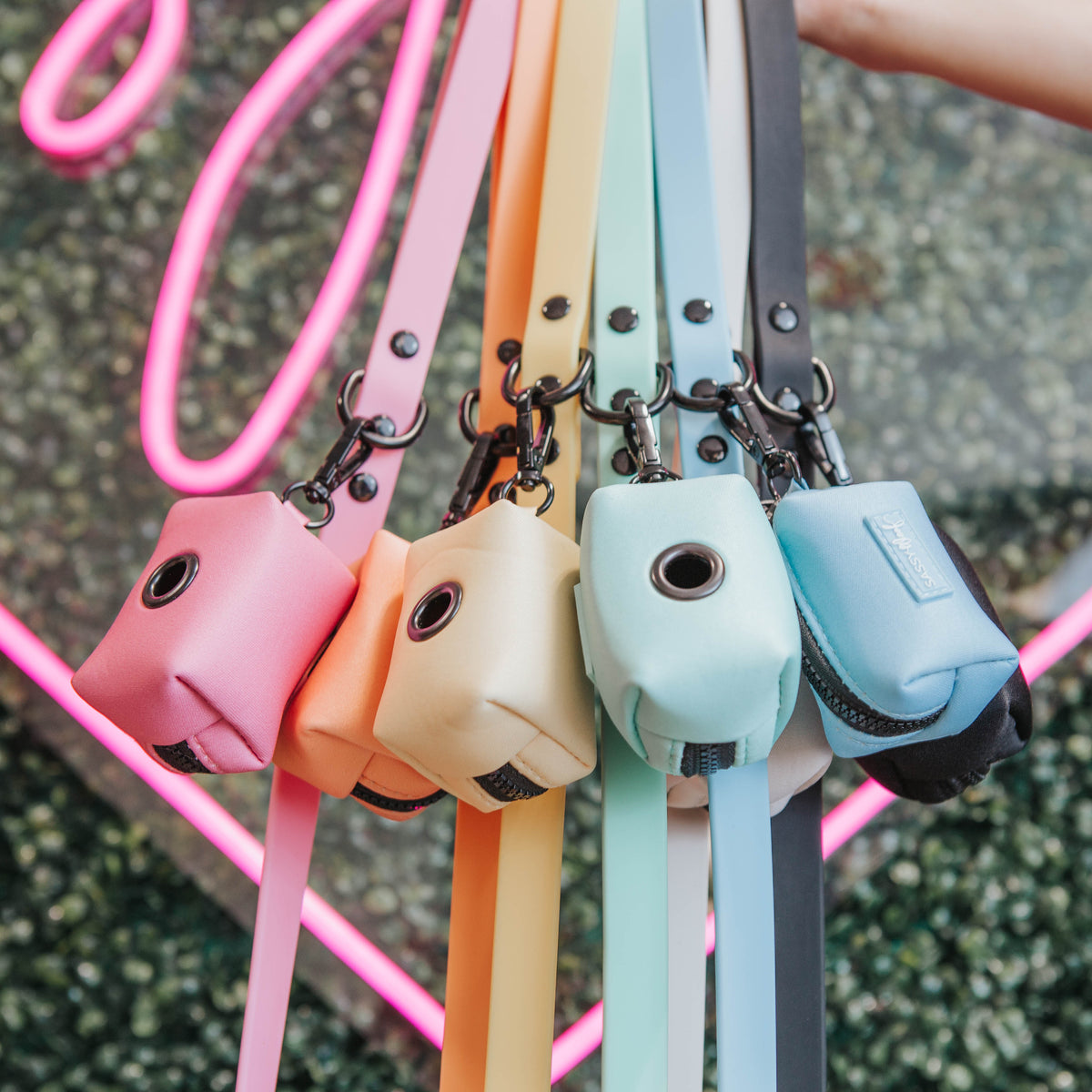 Adventure Collection | Sassy Woof Collection