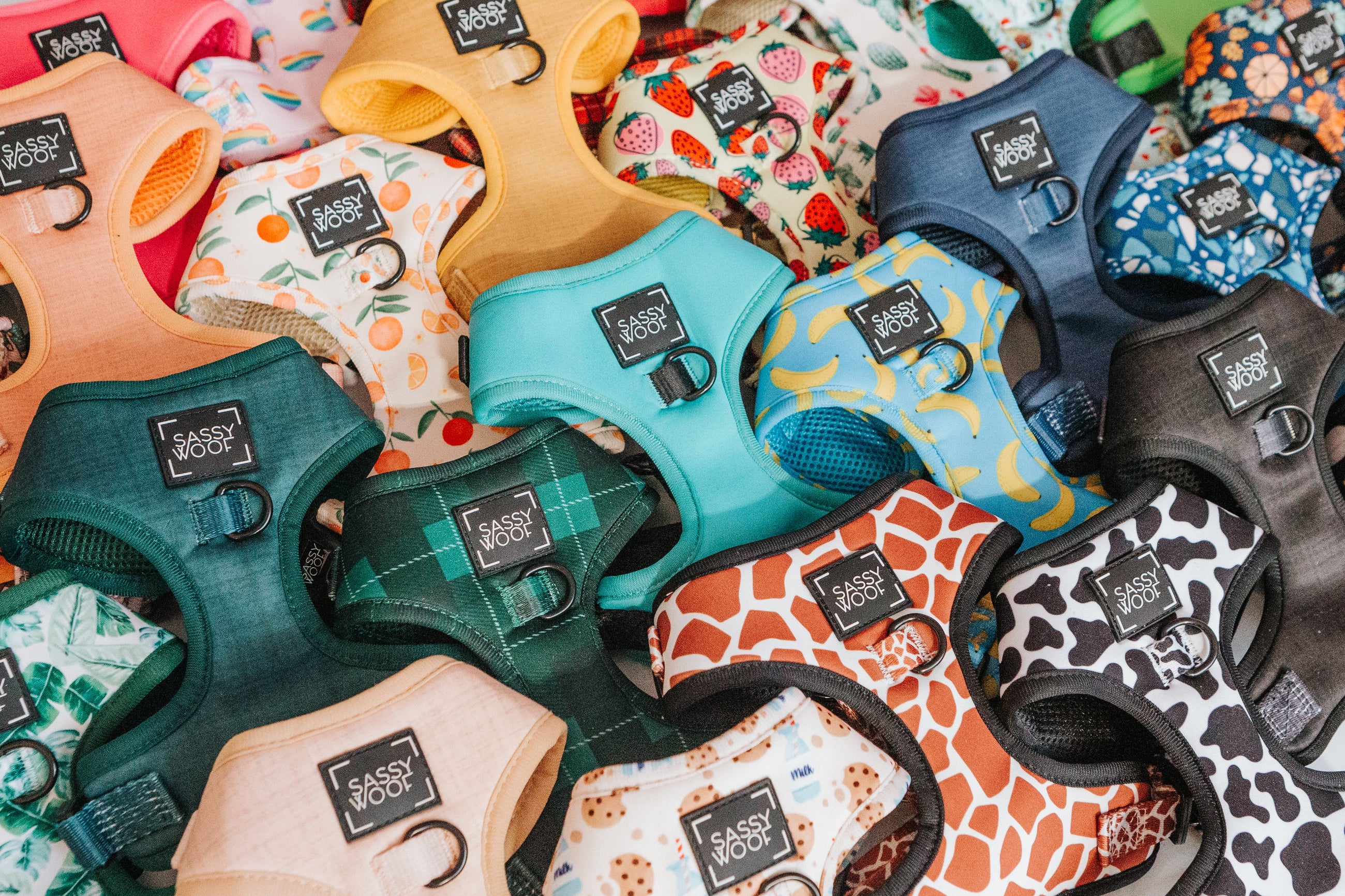 Colorful dog harnesses and leashes are arranged in the shape of a heart on a white background, with various patterns including florals, plaids, and animal prints.