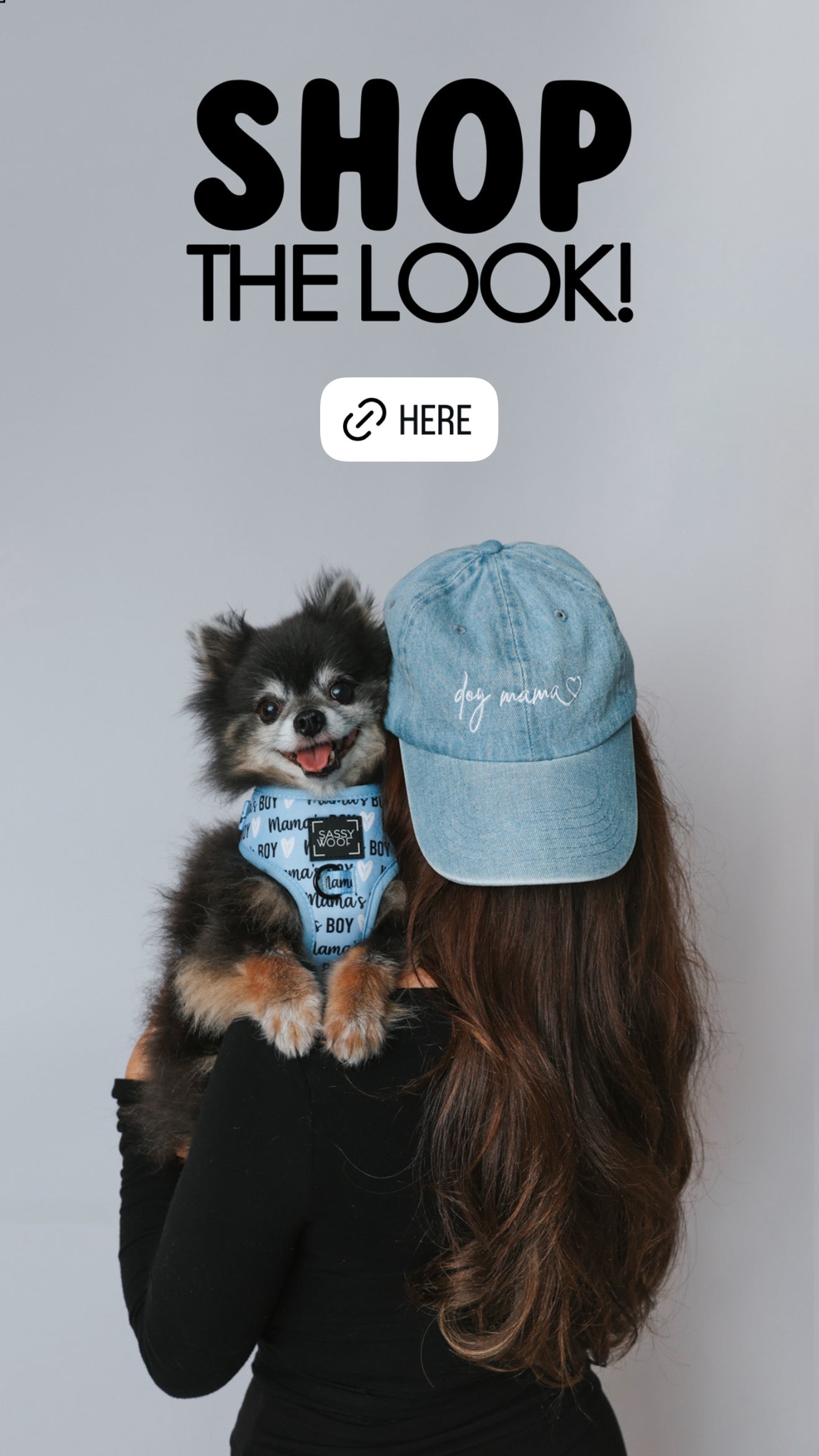 A flat lay of red and white dog accessories, including a harness with hearts, leash, poop bag holder, bandana, collar, and heart-shaped sunglasses, surrounded by cherries, candles, and a Saturday OOTD sign.