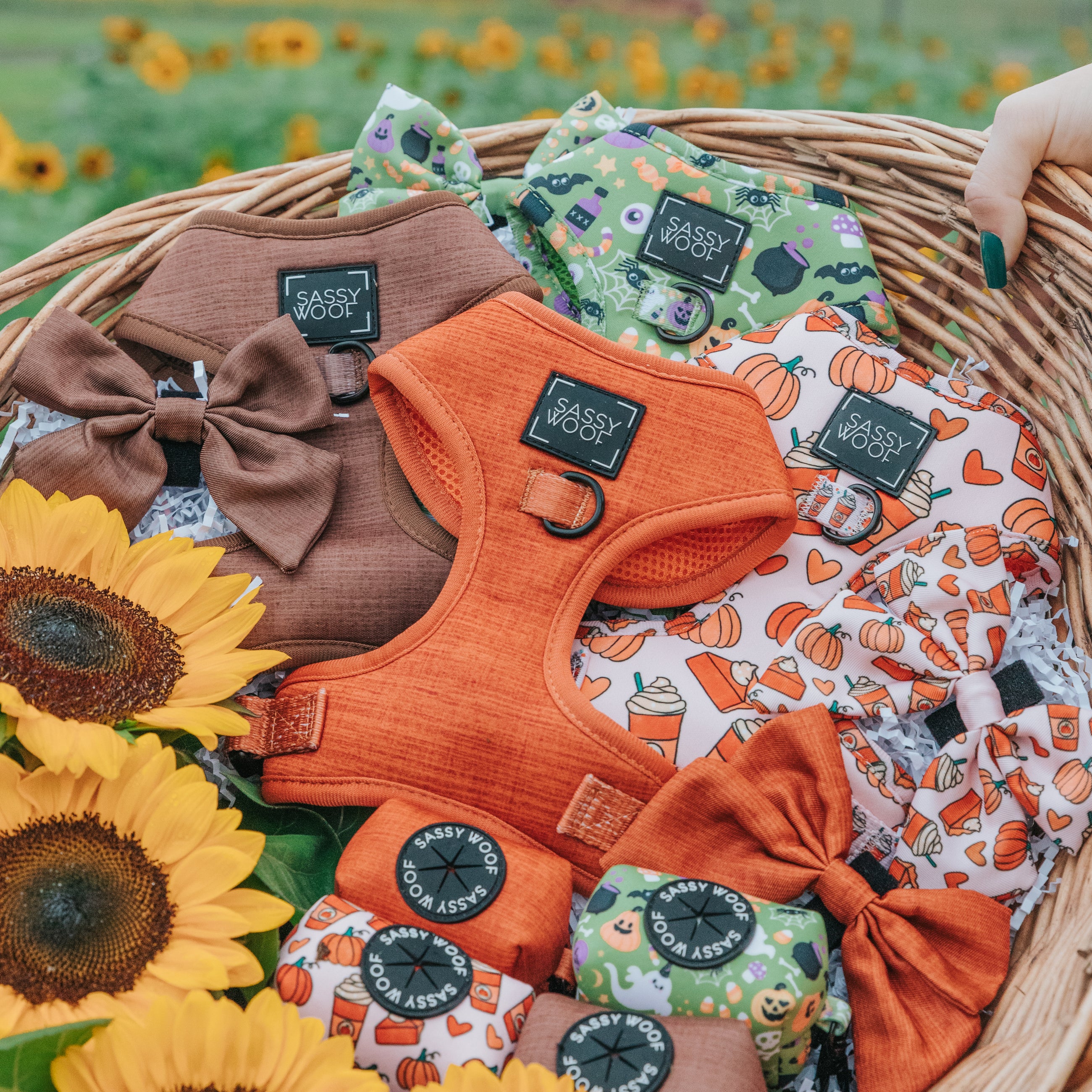 Fall Collection