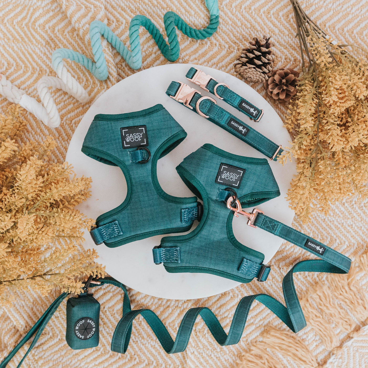 Flat lay of teal-colored dog harnesses, leash, collars, and waste bag holder surrounded by yellow dried flowers, pinecones, and coiled ropes on a patterned surface.