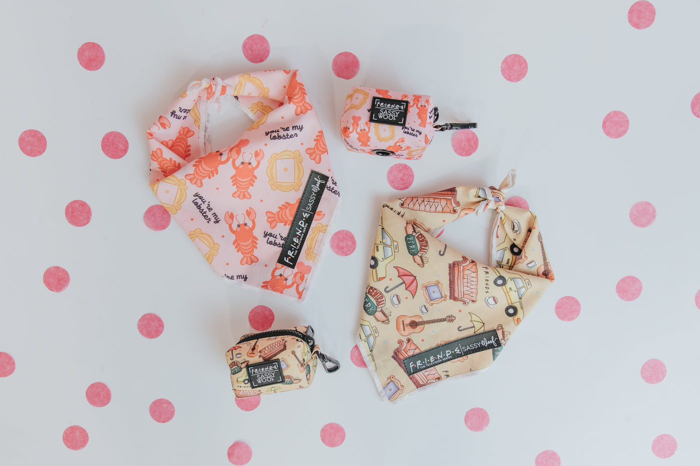 FRIENDS™️ x Sassy Woof