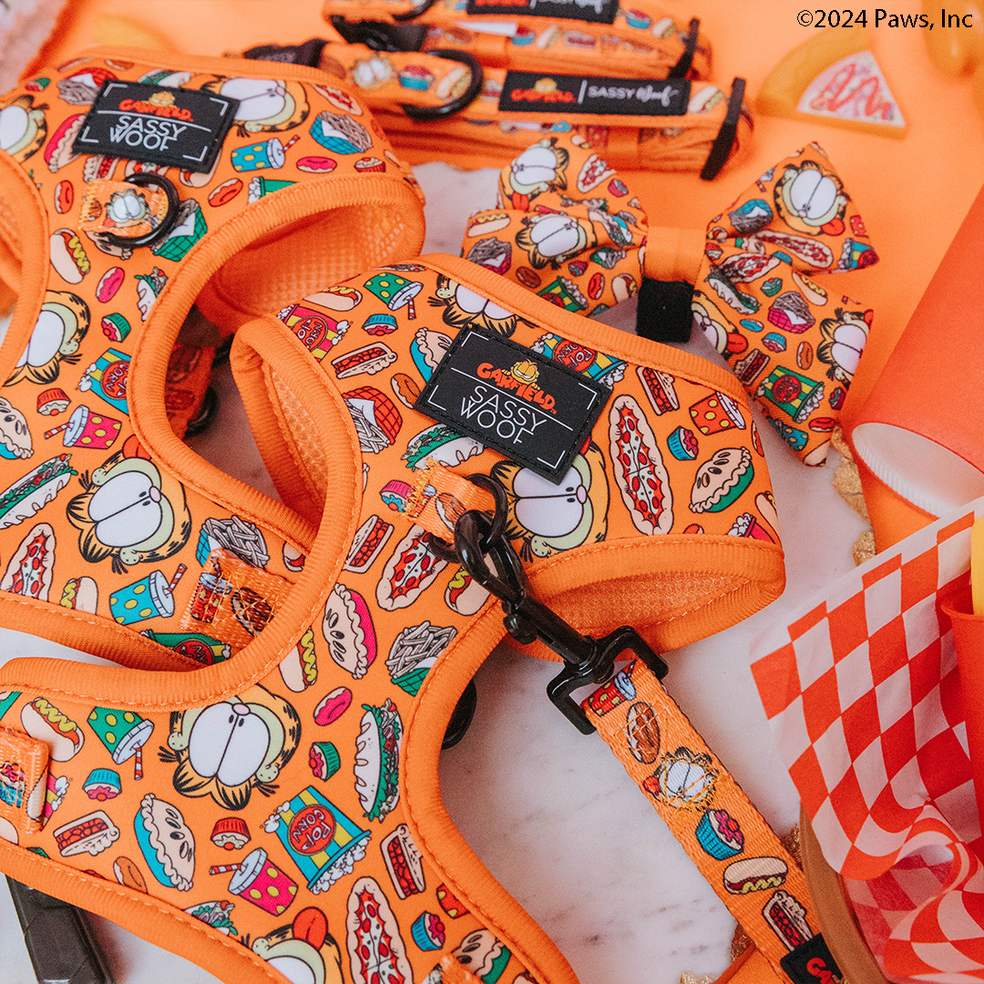 Bright orange dog harnesses, collars, leashes, and bow ties with Garfield and snack illustrations are arranged on a marble surface with orange checkered paper and other orange-themed pet accessories.