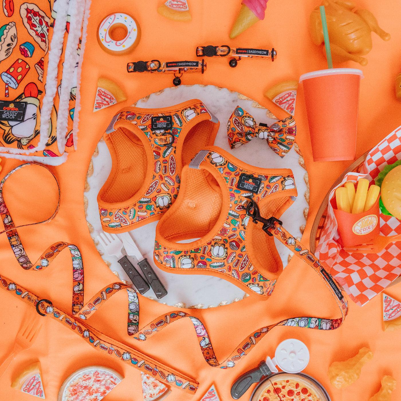 Garfield™ X Sassy Meow