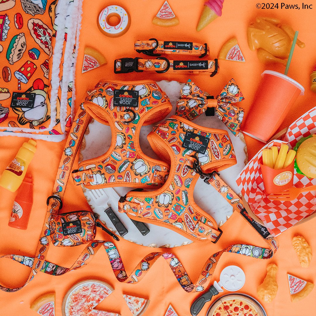 Garfield™ X Sassy Woof