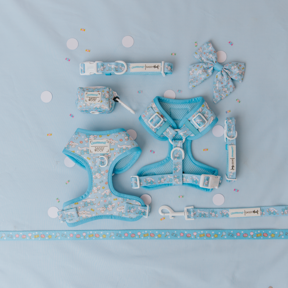 A set of blue pet accessories with a cute animal pattern, including two harnesses, a bow, collar, leash, waste bag holder, and a ribbon, all arranged neatly on a light blue background.