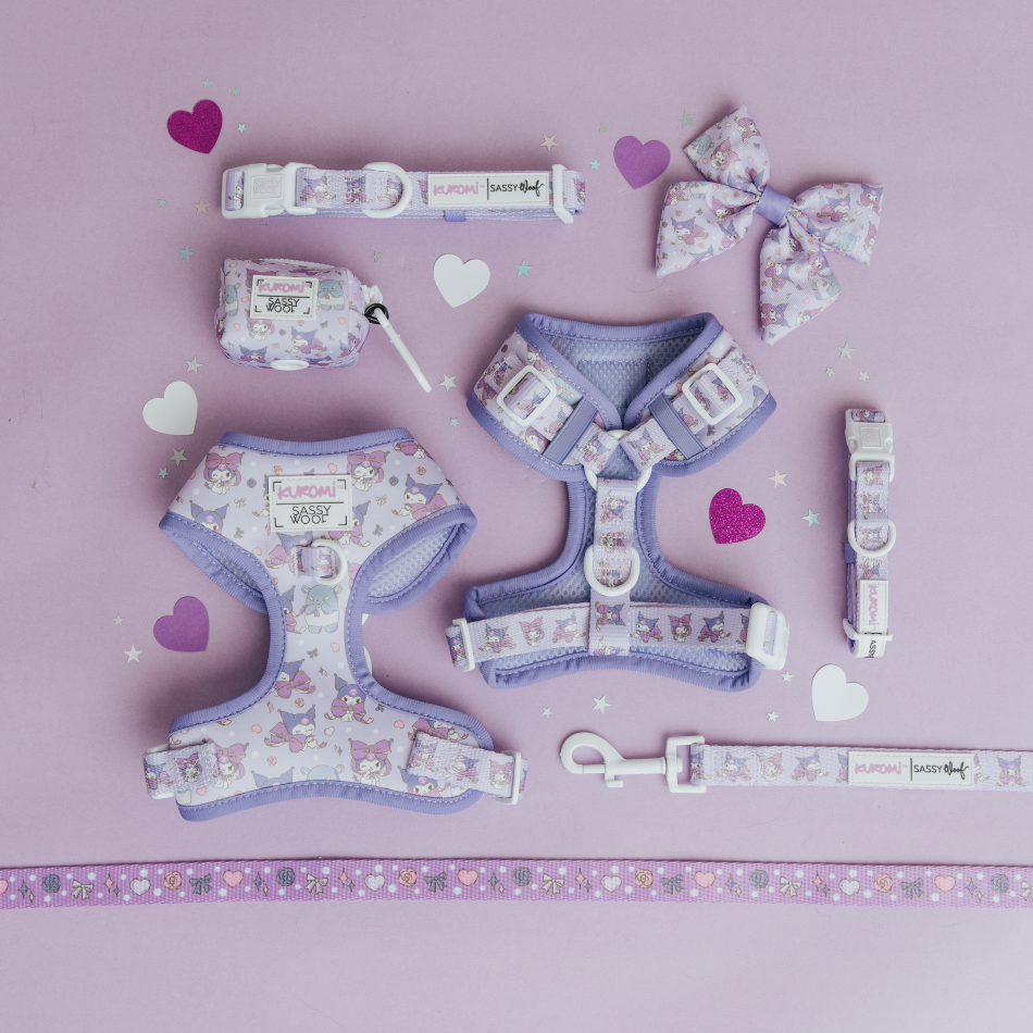 Flat lay of lavender-colored dog accessories with a cute cat pattern, including two harnesses, a leash, collar, bow, poop bag holder, and waste bag, arranged on a purple background with heart confetti.