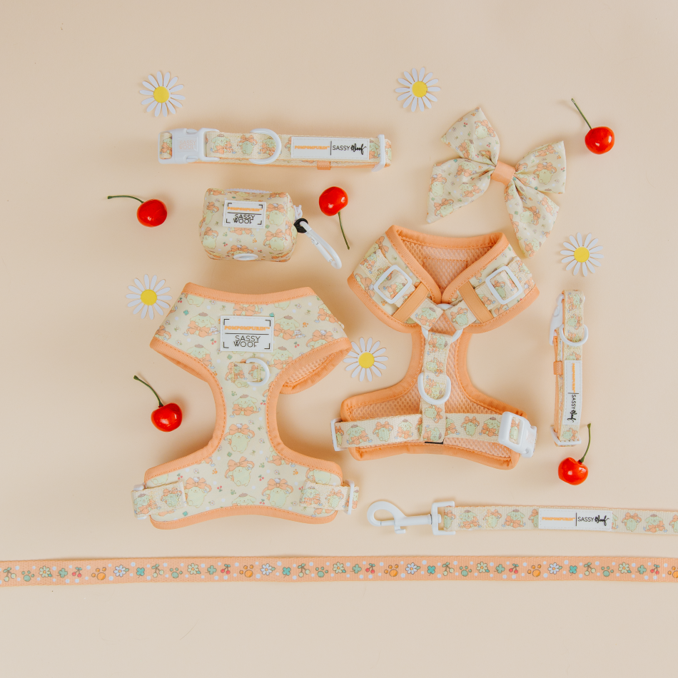 Peach-colored dog accessories with a floral and animal print include two harnesses, a bow, a collar, a leash, and a waste bag holder, surrounded by daisies and cherries on a light peach background.