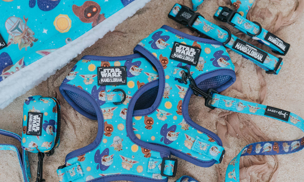 Star Wars-themed dog accessories on sand, including two harnesses, a leash, collar, bow tie, waste bag holder, and a blanket featuring cartoon characters like Grogu (Baby Yoda) and Mandalorian.