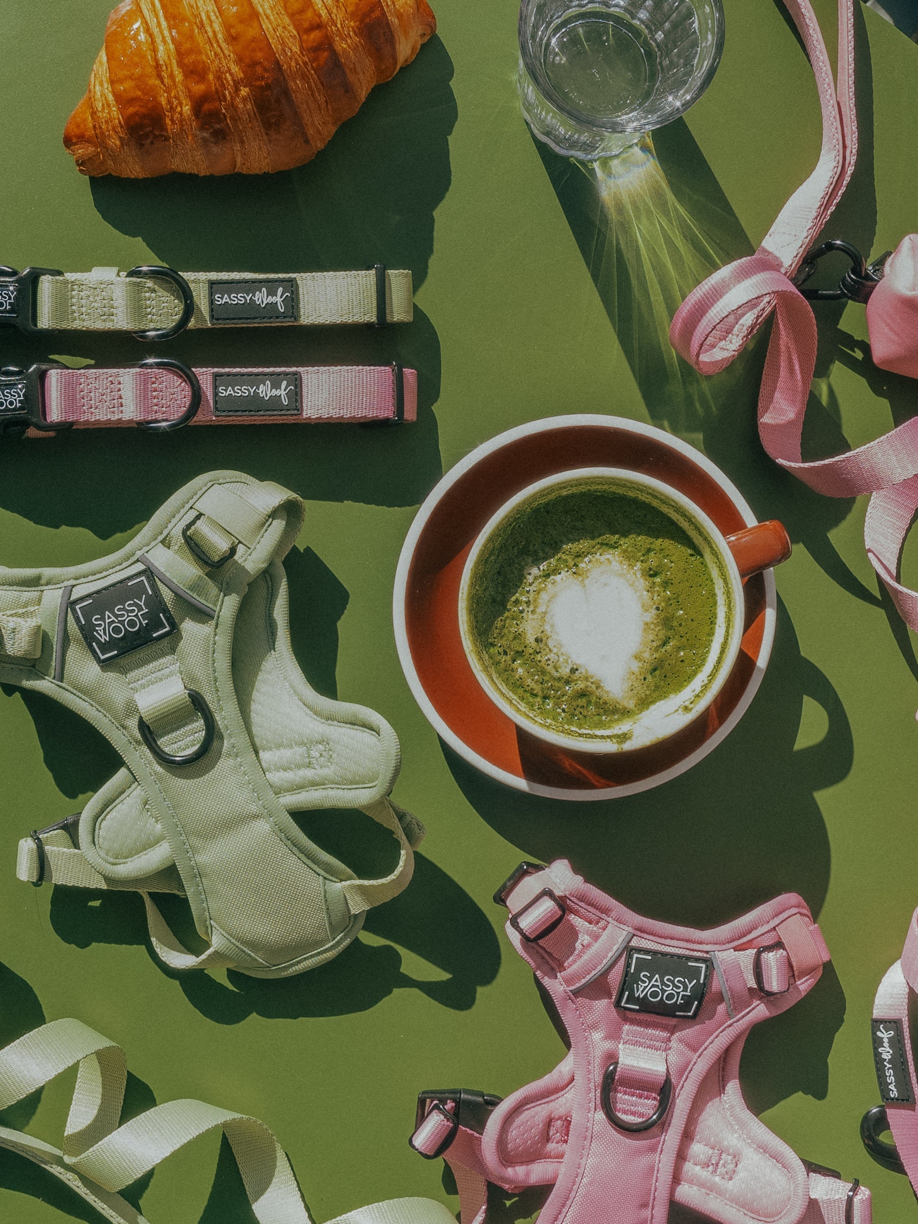 A cup of matcha latte with a heart design, a croissant, a glass of water, pastel green and pink dog harnesses and leashes are arranged on a green surface in sunlight.