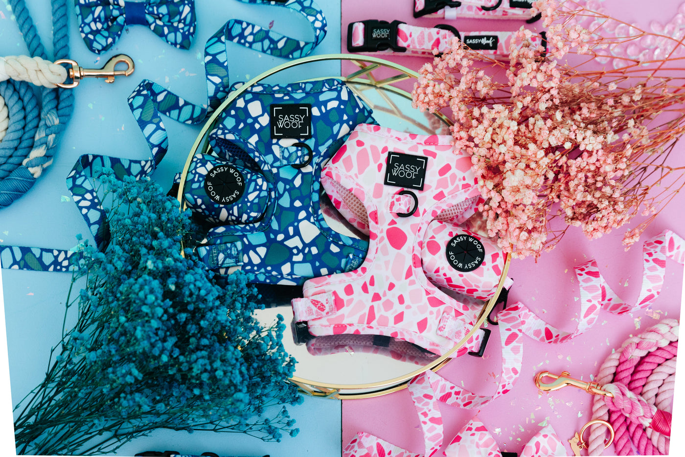 Dog harnesses and accessories in blue and pink terrazzo patterns are arranged on a pastel blue and pink background, decorated with dried flowers and a gold-edged mirror.