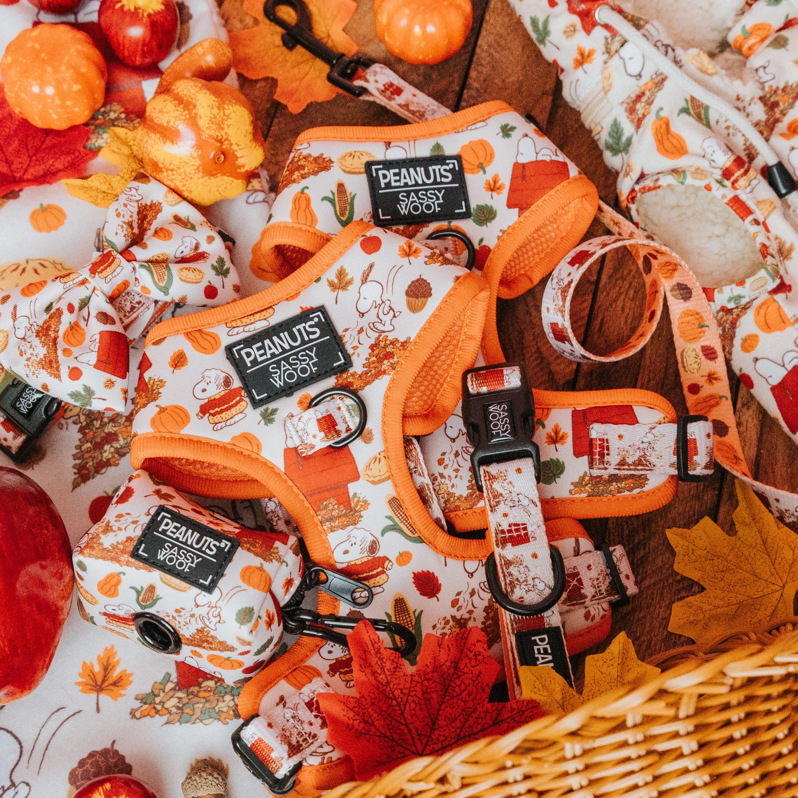 A collection of Peanuts-themed autumn dog accessories, including harnesses, collars, and leashes with orange trim and fall patterns, surrounded by pumpkins, leaves, and seasonal decor.