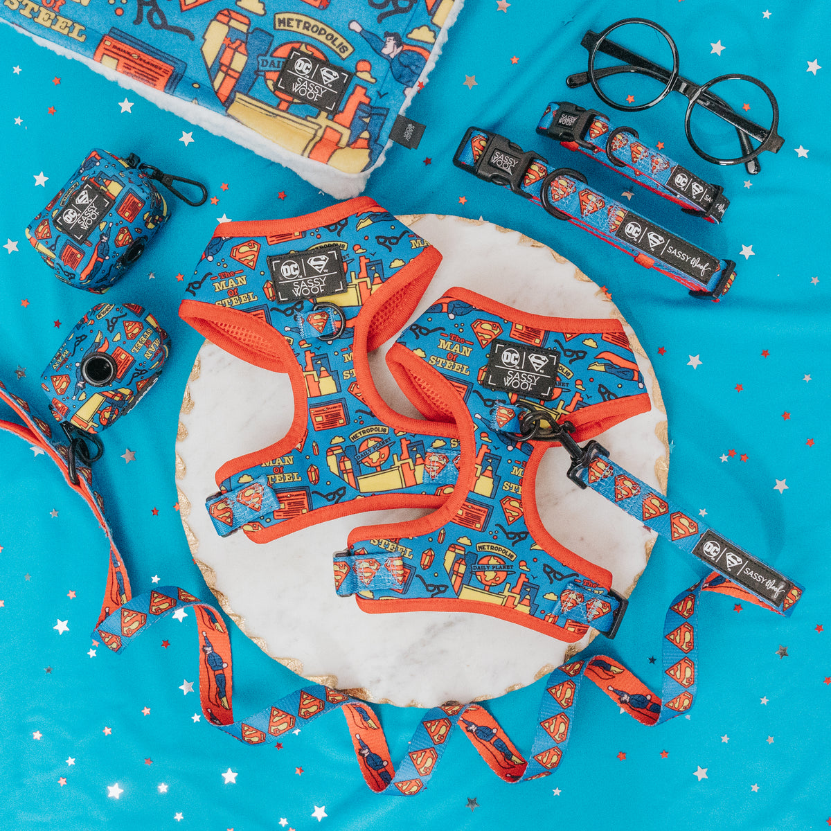 Superman™ X Sassy Woof | Sassy Woof Collection