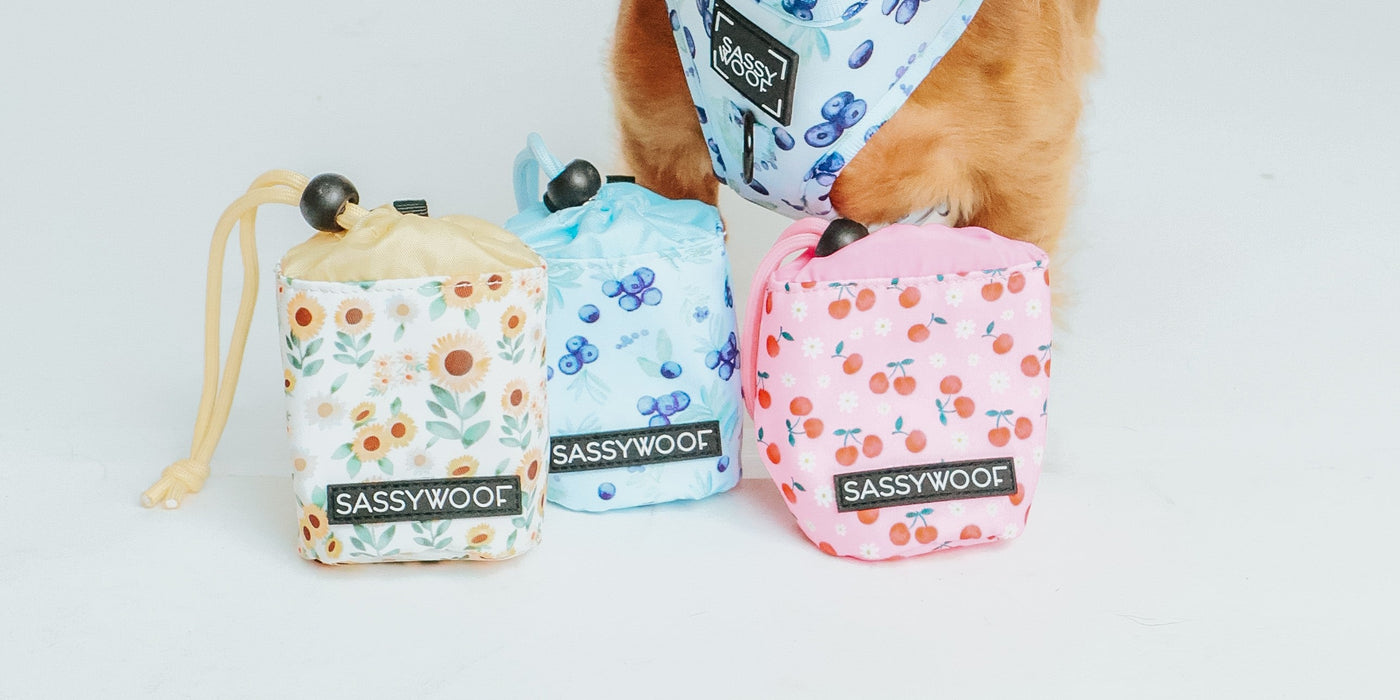 Brown dog wearing a blue-patterned bandana licks its nose, sitting behind three colorful Sassy Woof dog accessory pouches in blue, yellow, and pink floral patterns.