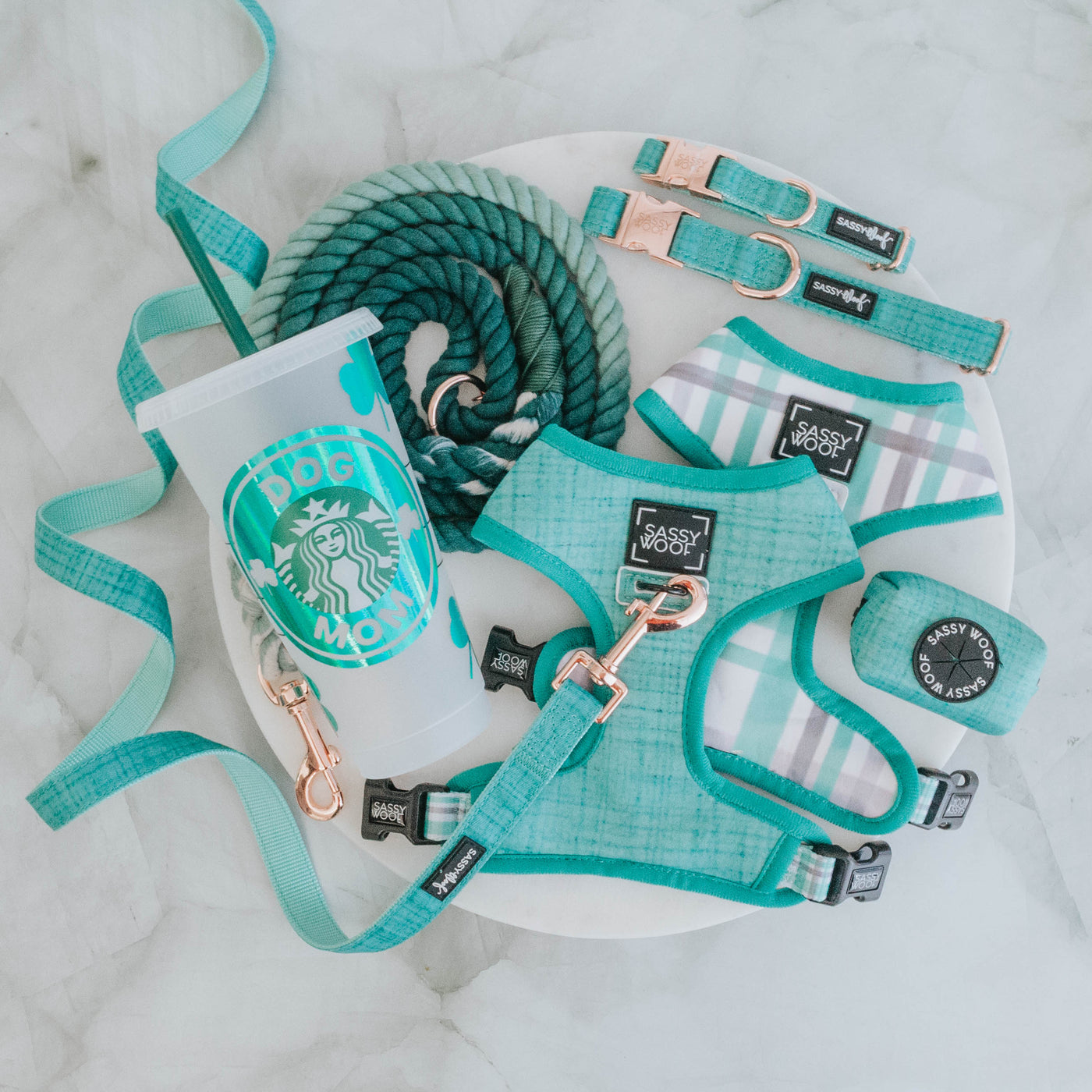 A collection of teal dog accessories, including a leash, harness, collar, waste bag holder, rope toy, and a Starbucks cup with “Dog Mom” written on it, arranged on a white surface.