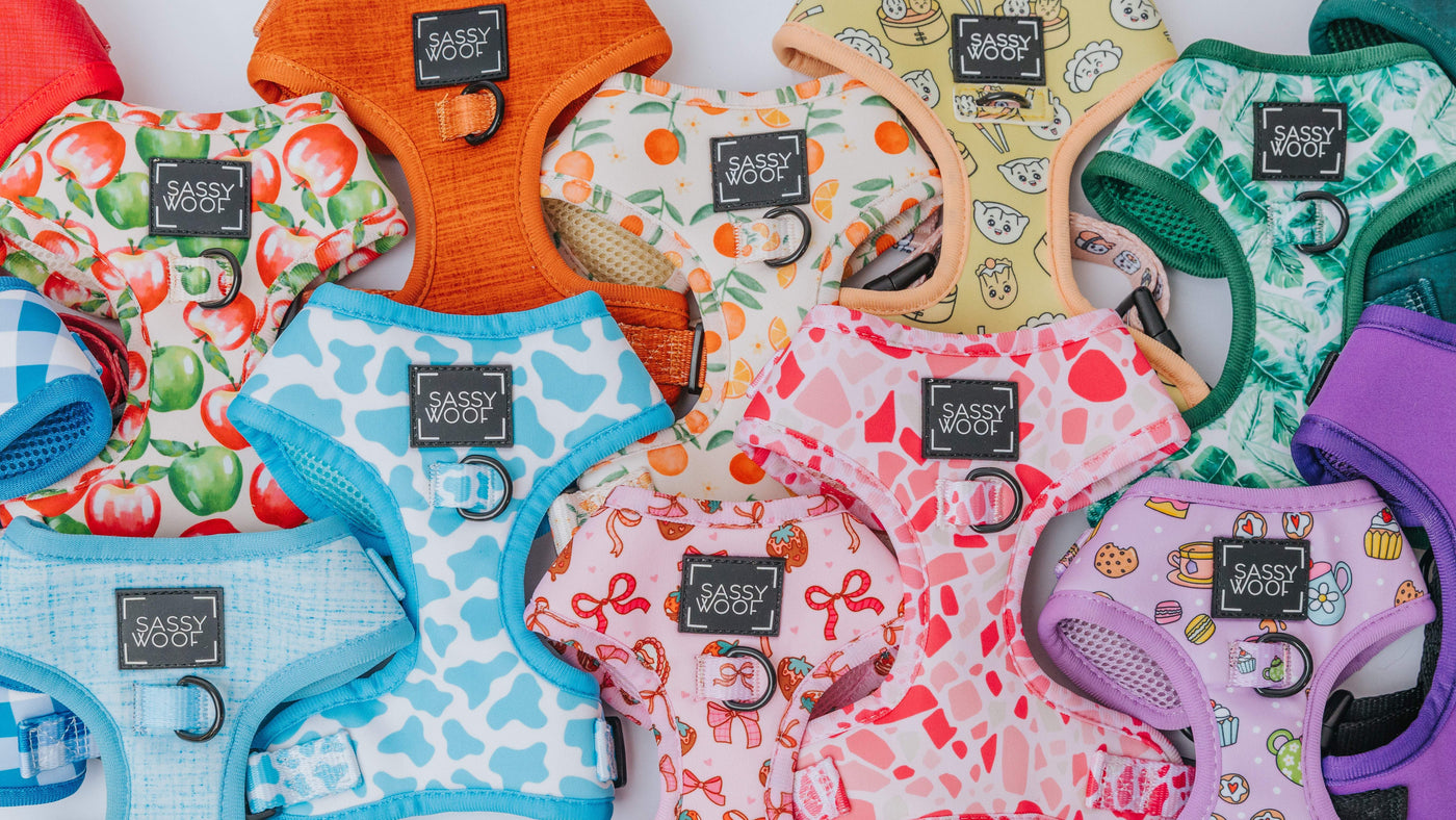 A variety of colorful Sassy Woof dog harnesses are arranged together, each with different playful patterns, including fruits, animals, and geometric designs.