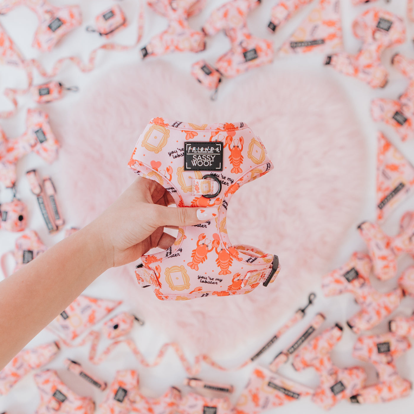 A hand holds up a pink dog harness with a lobster and butter pattern; more matching harnesses are scattered around a fluffy pink heart shape in the background.