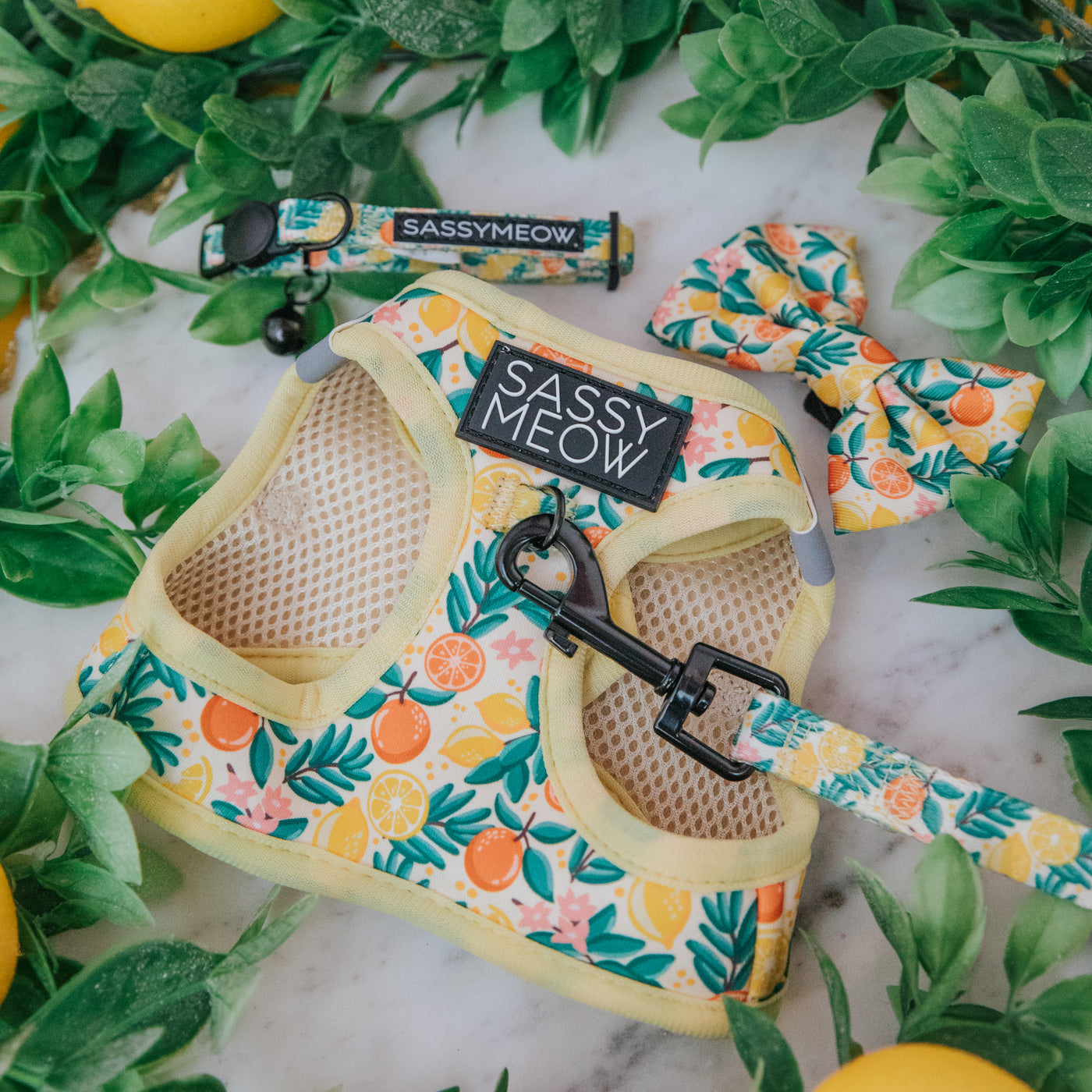 A colorful Sassy Meow pet harness, leash, collar, and bowtie with citrus fruit patterns, surrounded by green leaves and lemons on a marble surface.
