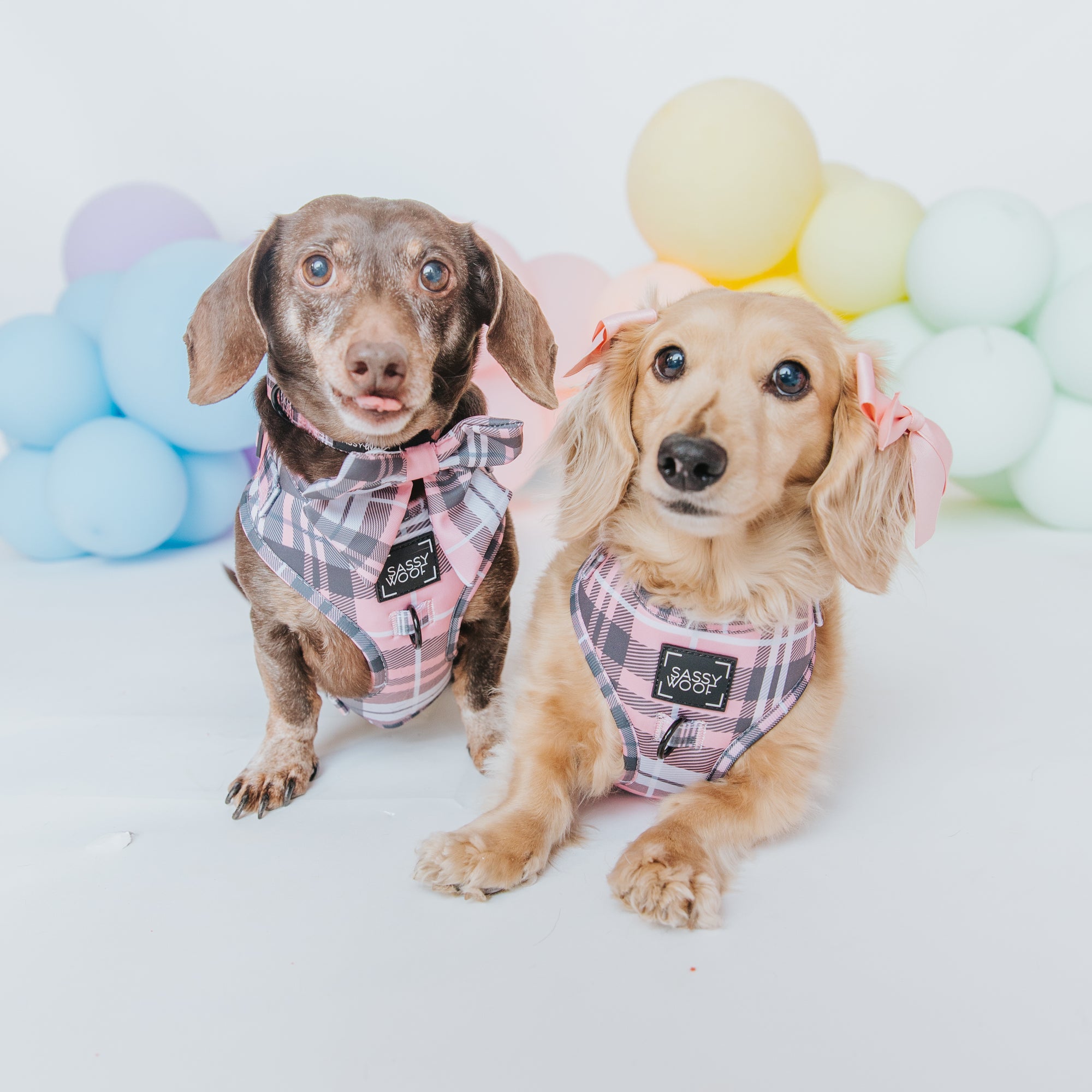 INFLUENCER_CONTENT | @MAYATHEDOX & @WINSTONTHEDOX | 