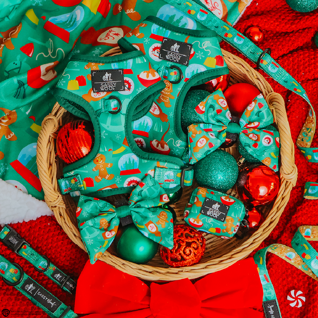 A basket filled with green dog accessories featuring Christmas-themed patterns, surrounded by red and green ornaments, a red bow, and festive decorations on a red knit blanket.