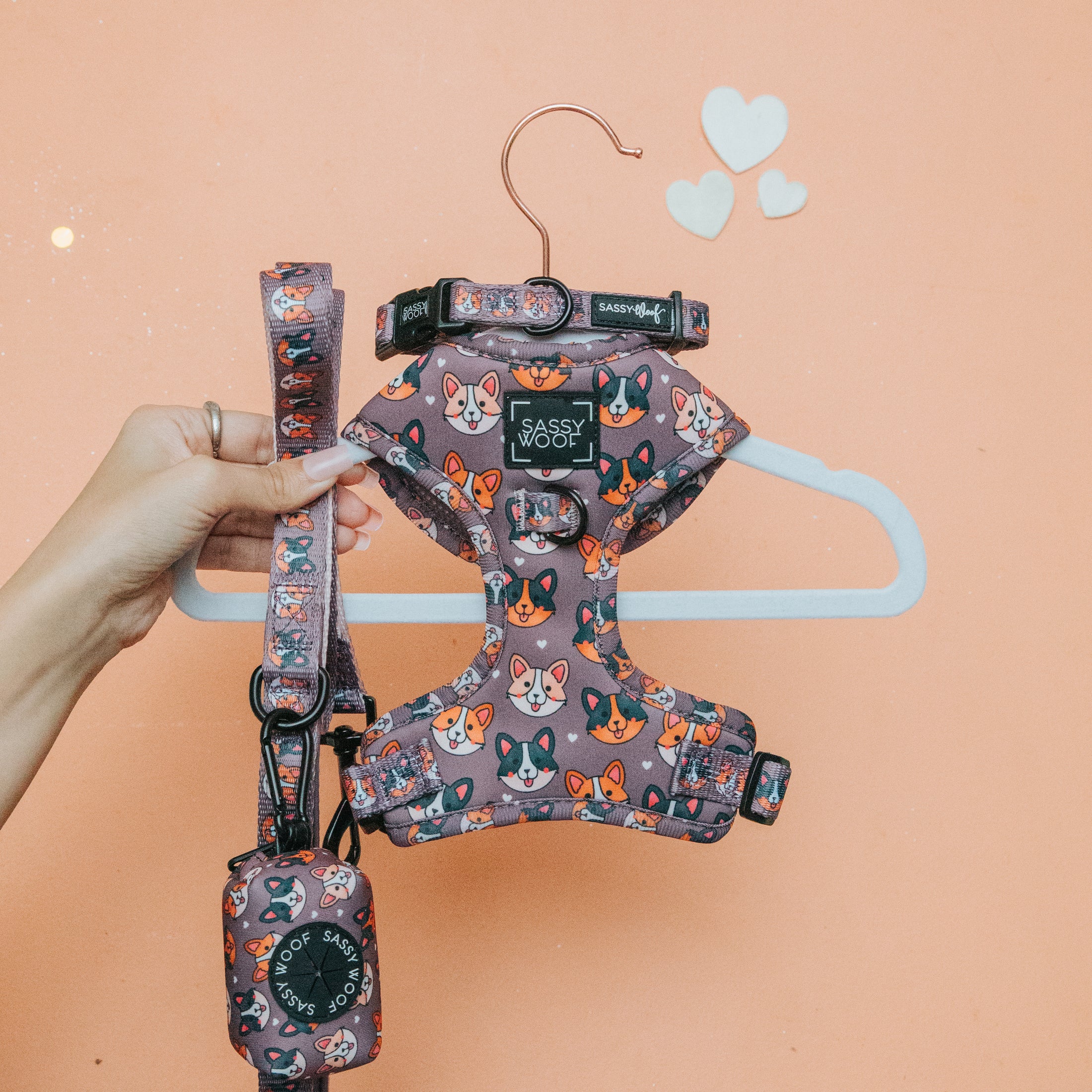 Dog Bundles: Harnesses, Leashes, Collars, Poop Bag Holders | Sassy Woof ...