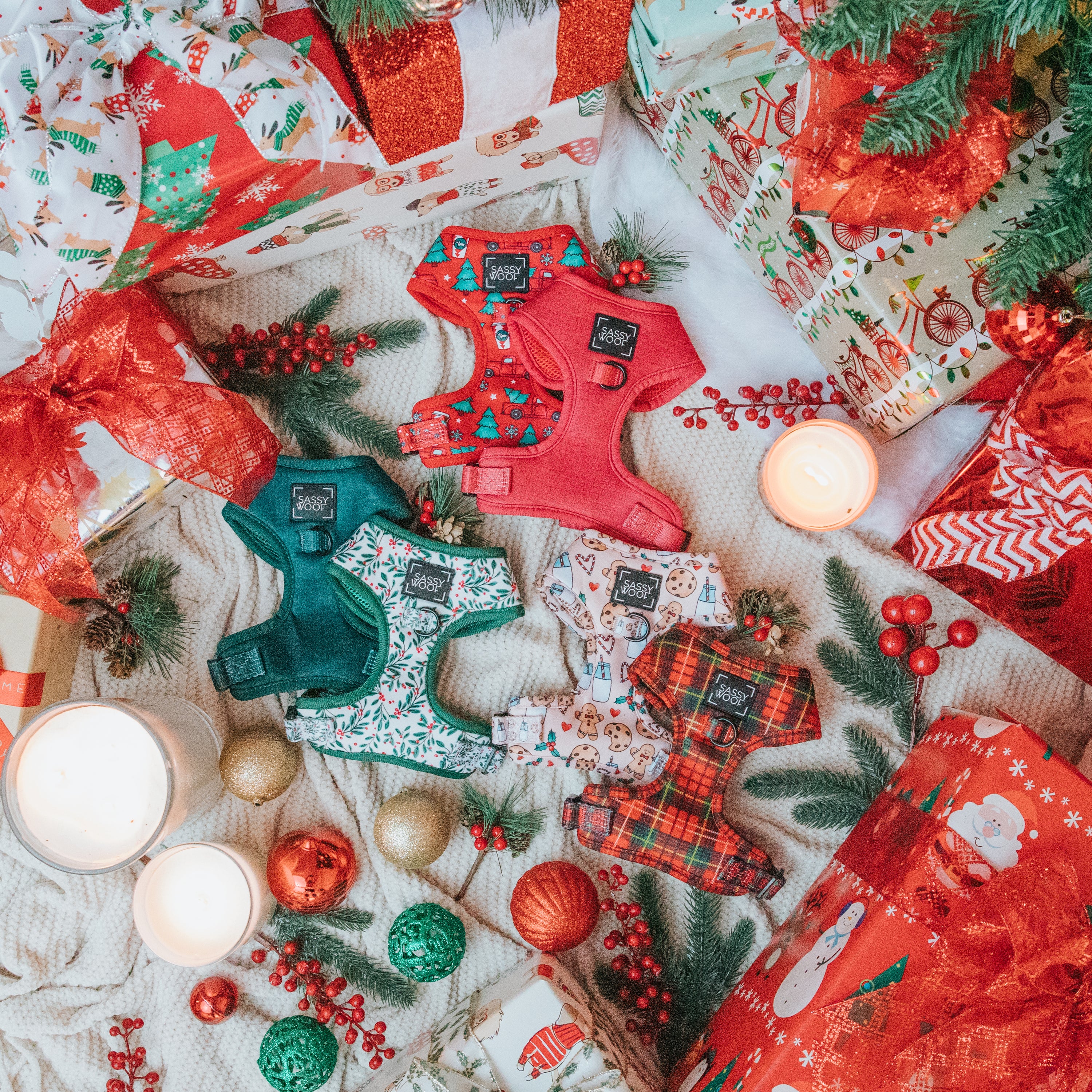 an assortment of bright holiday themed harnesses