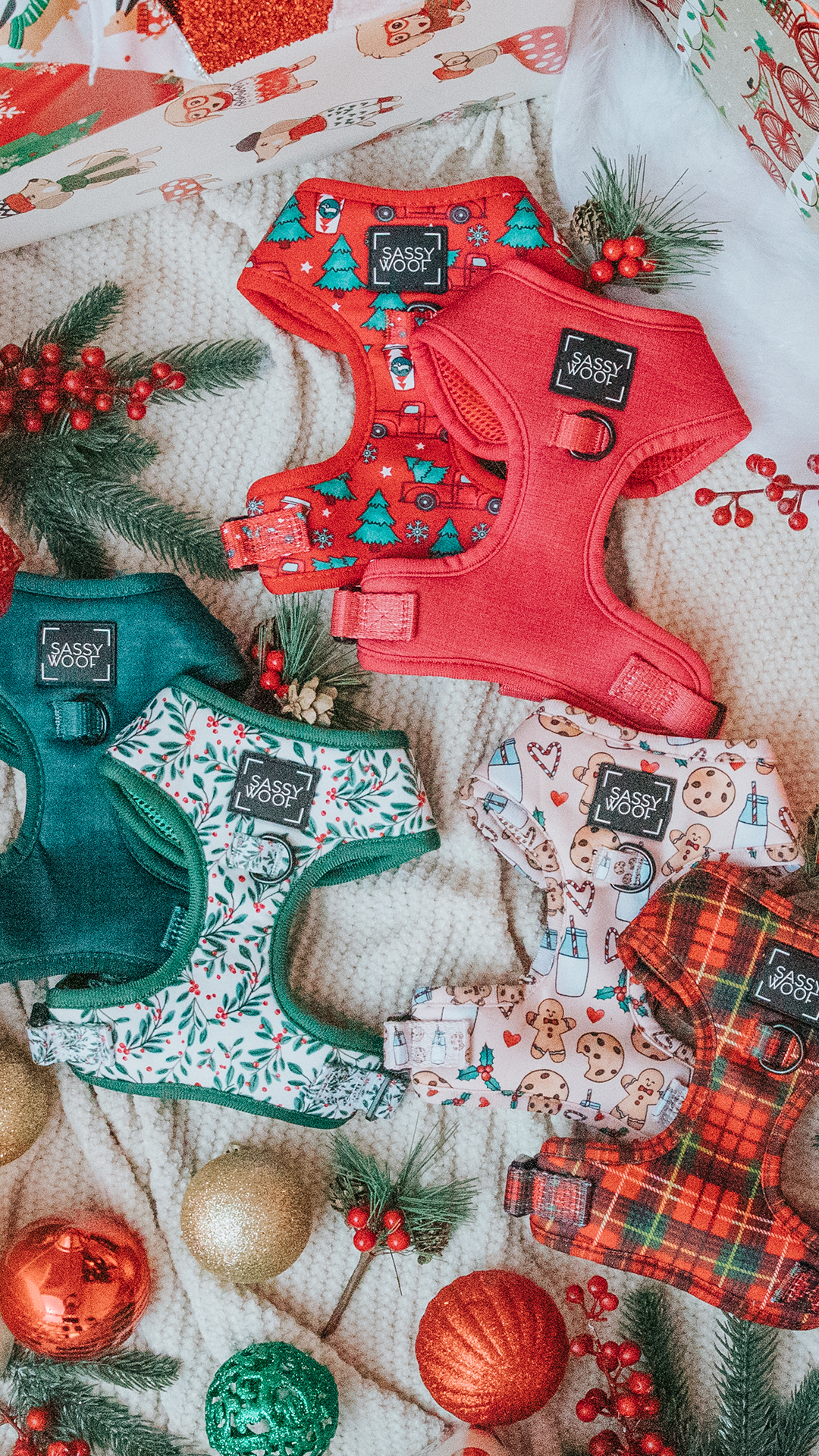 Collection of festive dog harnesses and blankets on a textured surface with Christmas decorations.