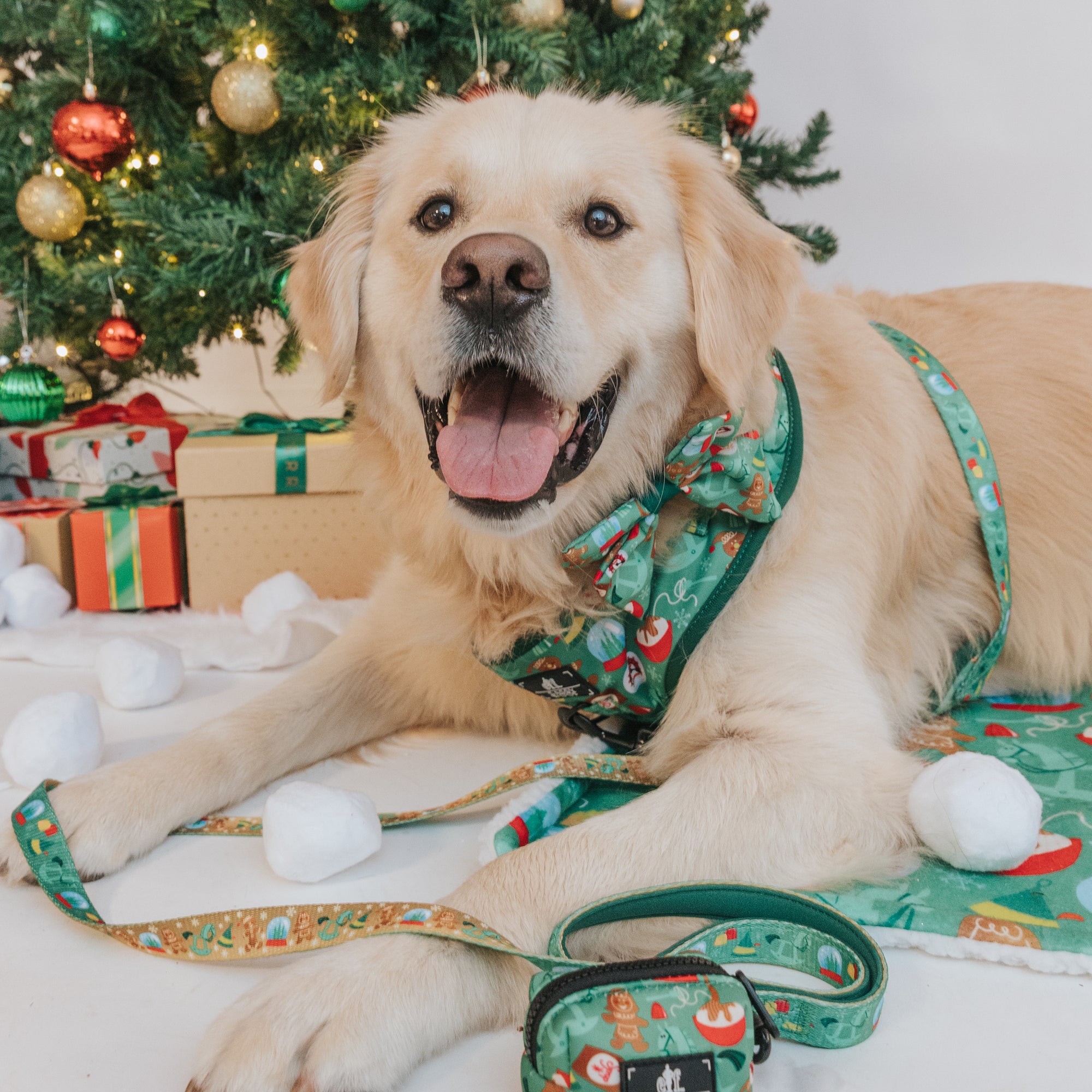 INFLUENCER_CONTENT | BOBA