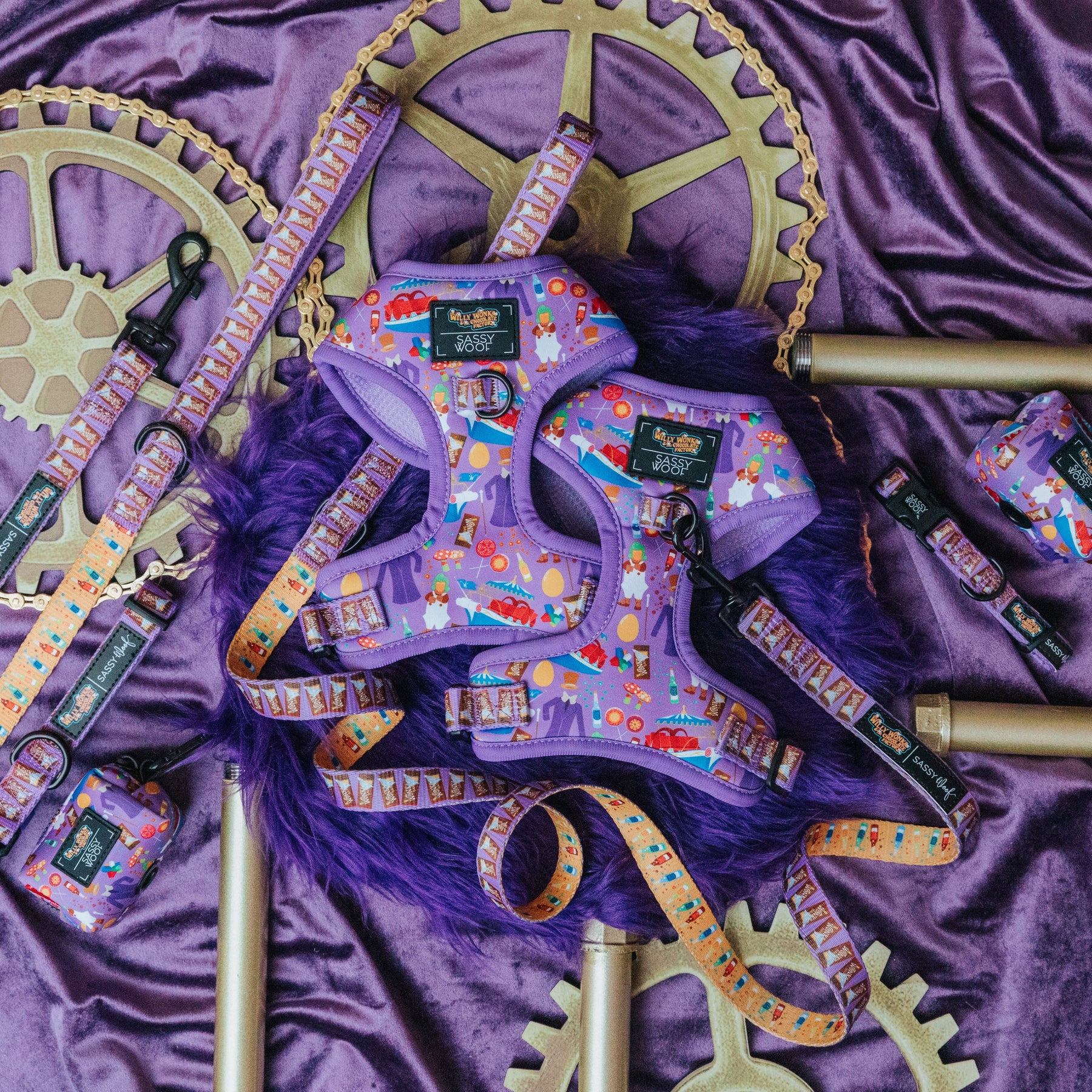 Dog Bundle - Willy Wonka & The Chocolate Factory™