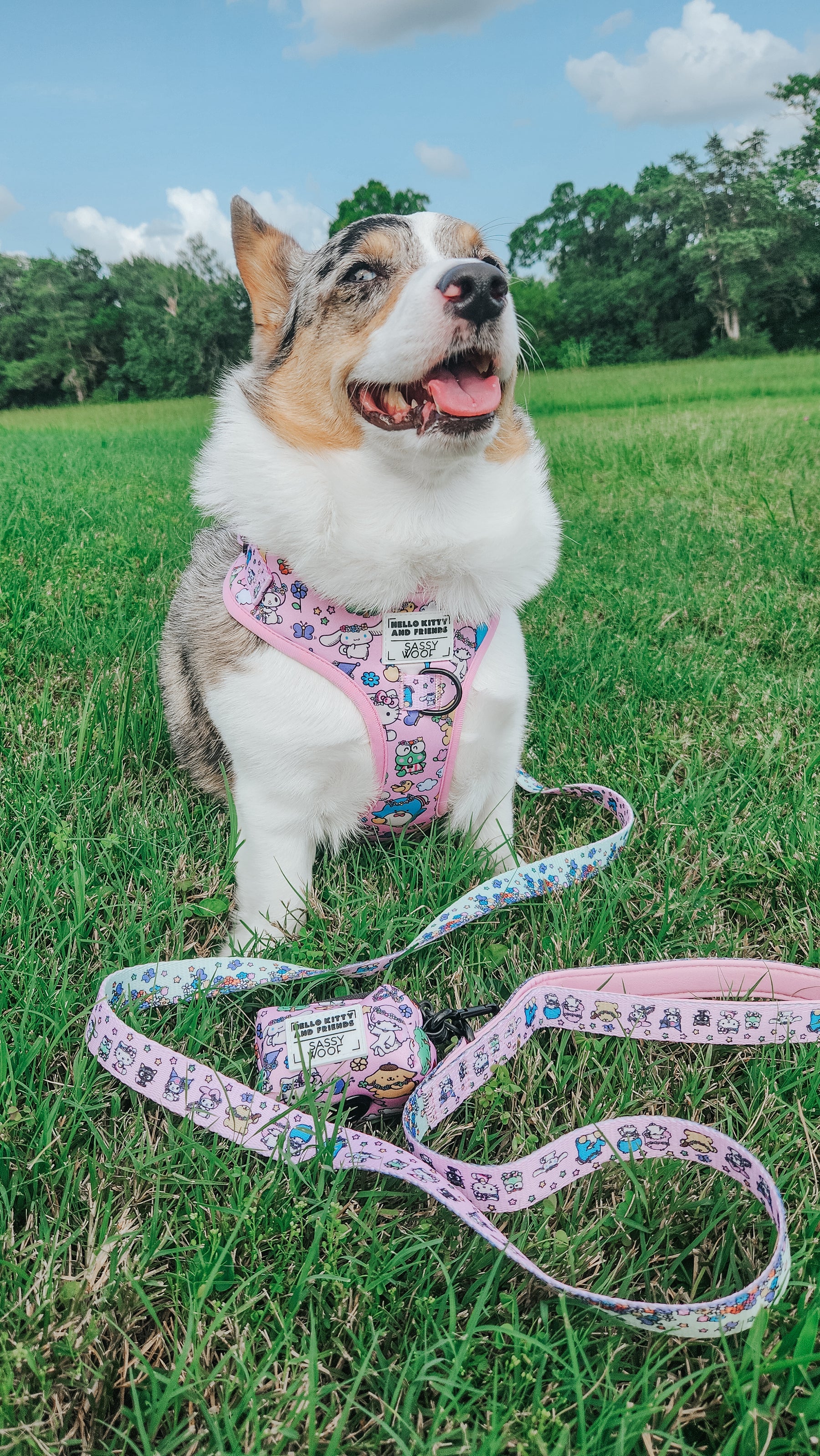 INFLUENCER_CONTENT | @PETUNIAJUNE_CORGI | SIZE M