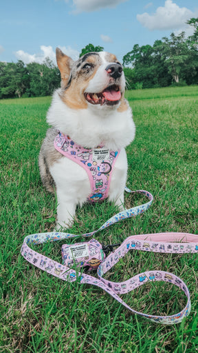 INFLUENCER_CONTENT | @PETUNIAJUNE_CORGI | SIZE M