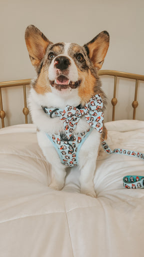 INFLUENCER_CONTENT | @PETUNIAJUNE_CORGI | SIZE M
