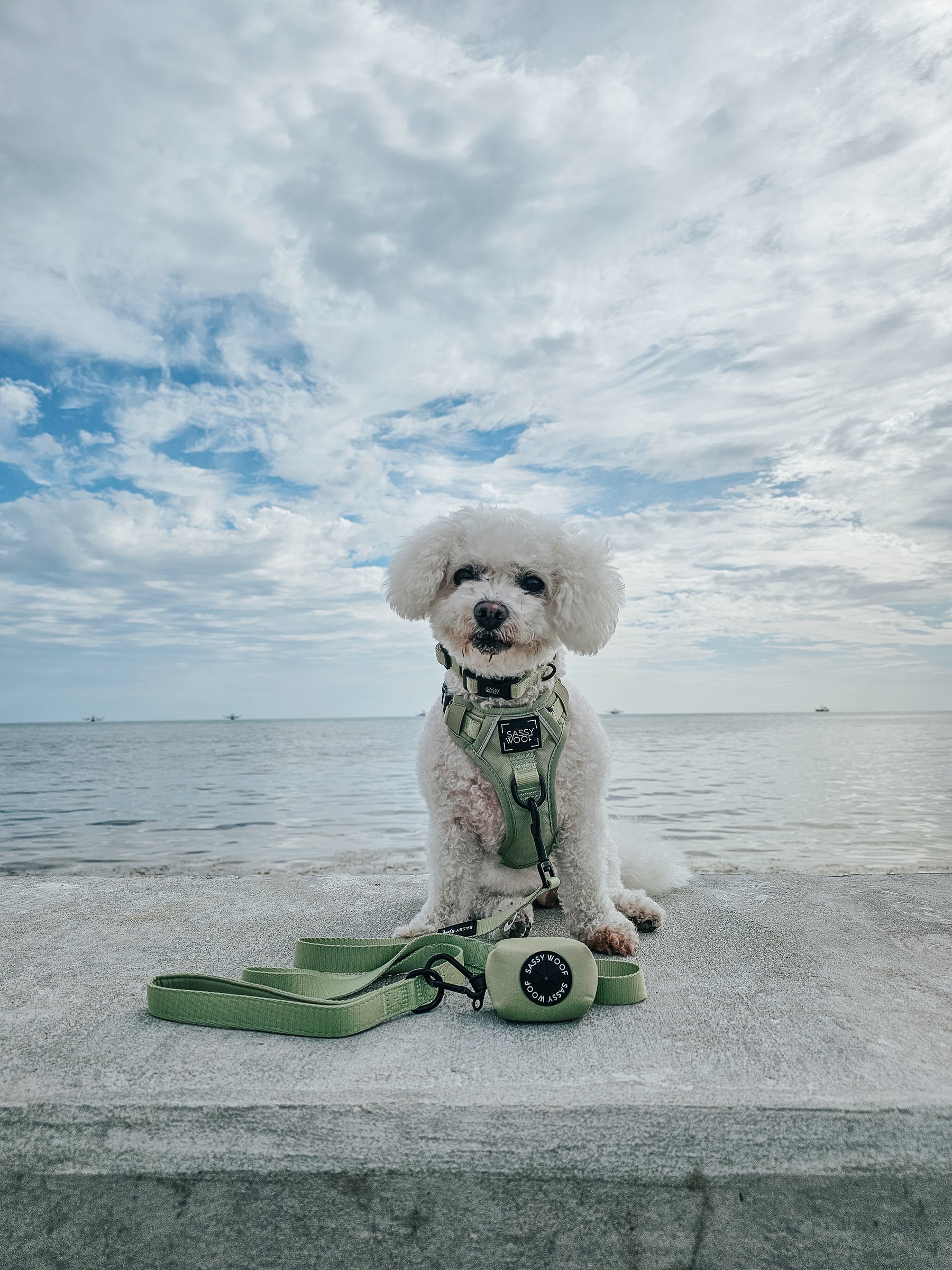 INFLUENCER_CONTENT | @FRISE.AND.FABULOUS