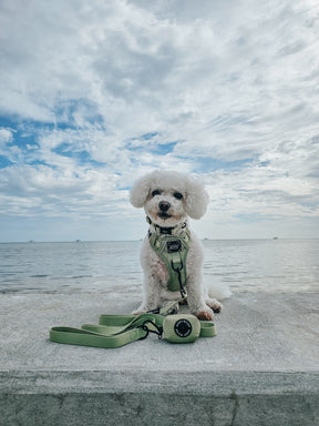 INFLUENCER_CONTENT | @FRISE.AND.FABULOUS | SIZE XS