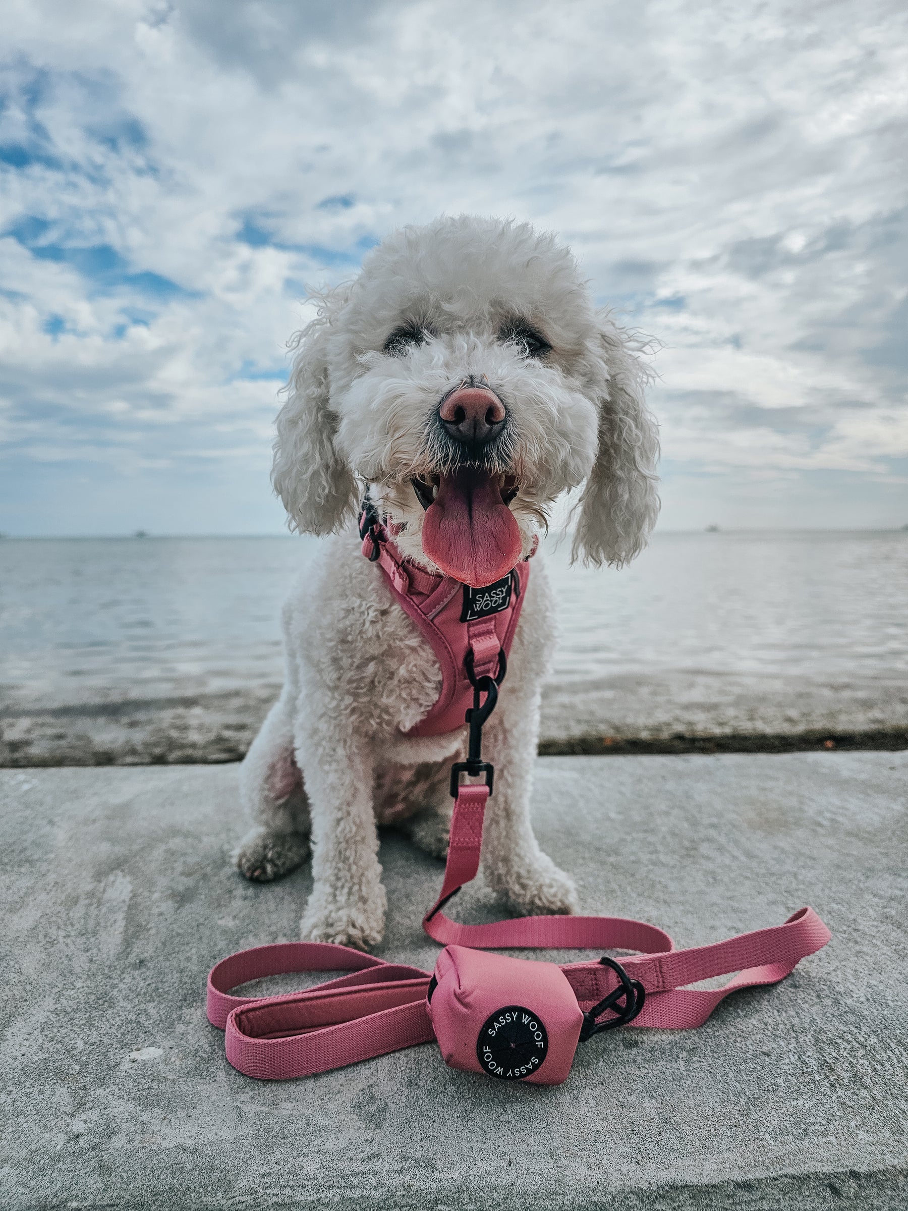 INFLUENCER_CONTENT | @FRISE.AND.FABULOUS | SIZE S & XS