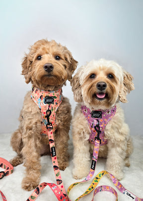 INFLUENCER_CONTENT | @AUTUMN_THEGOLDIE | HARNESS SIZE: S