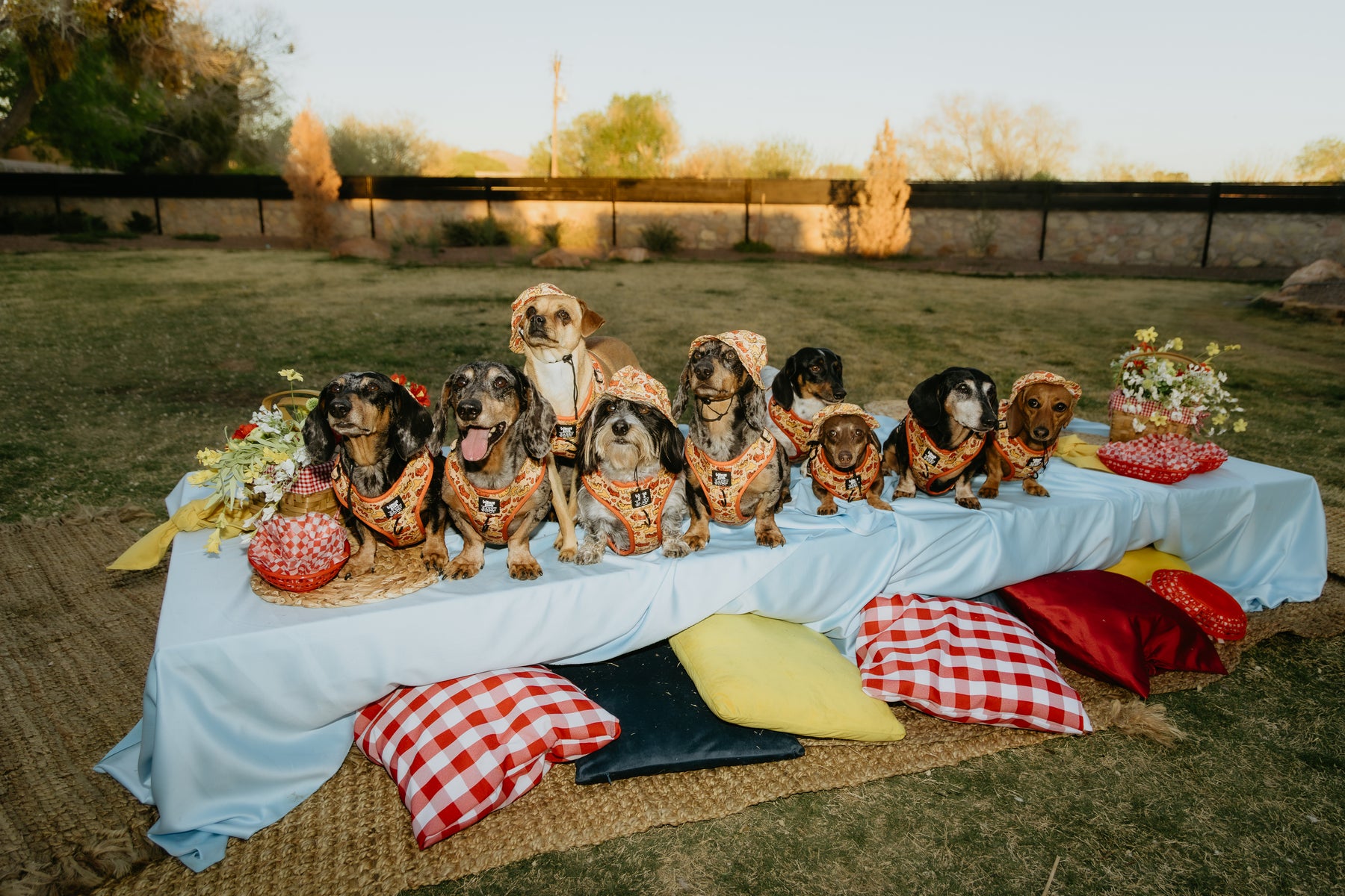 INFLUENCER_CONTENT | @YUNABUGS | 