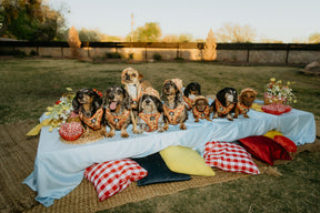 INFLUENCER_CONTENT | @YUNABUGS | 