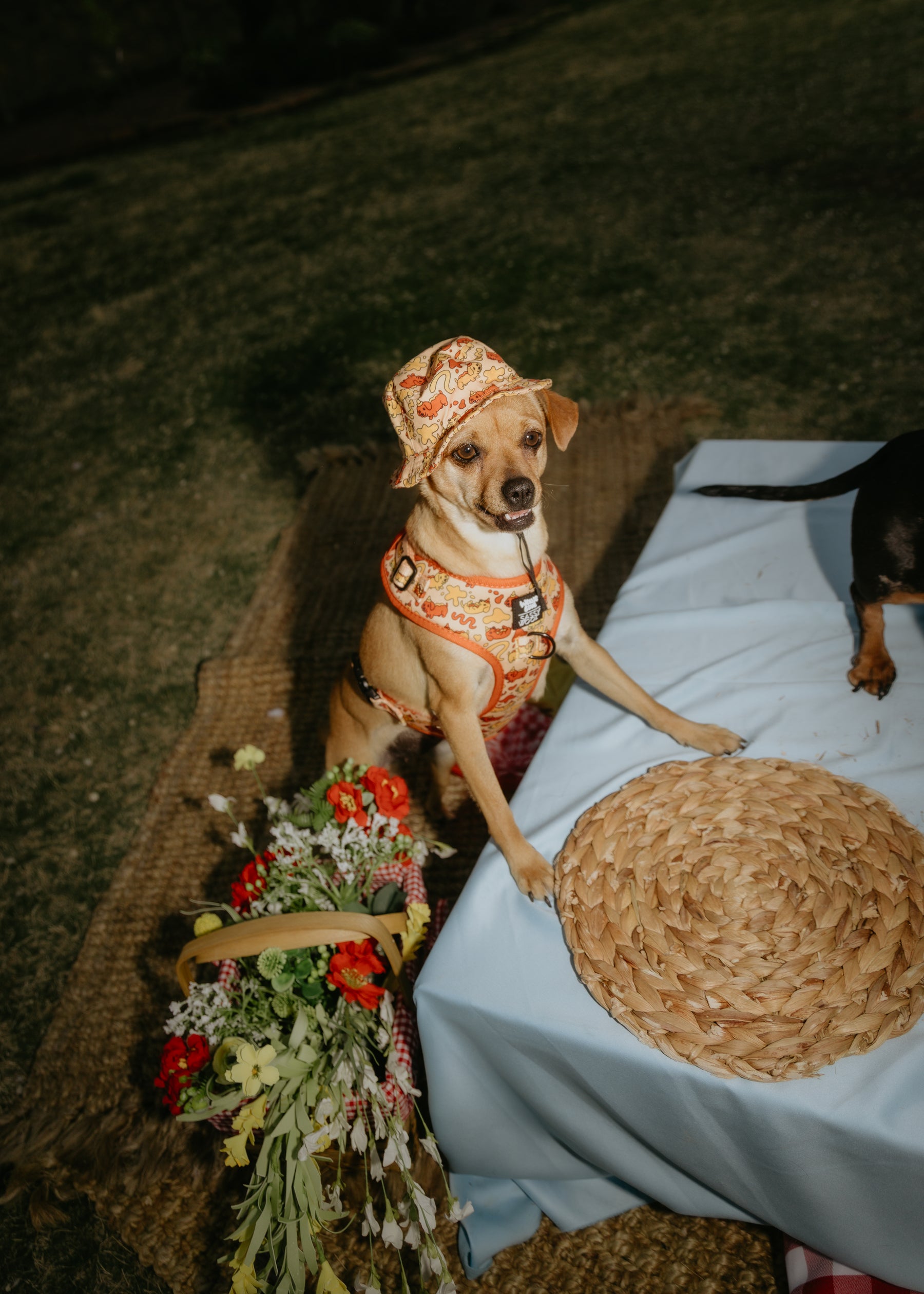 INFLUENCER_CONTENT | @YUNABUGS | 