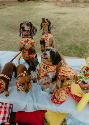 INFLUENCER_CONTENT | @YUNABUGS | 