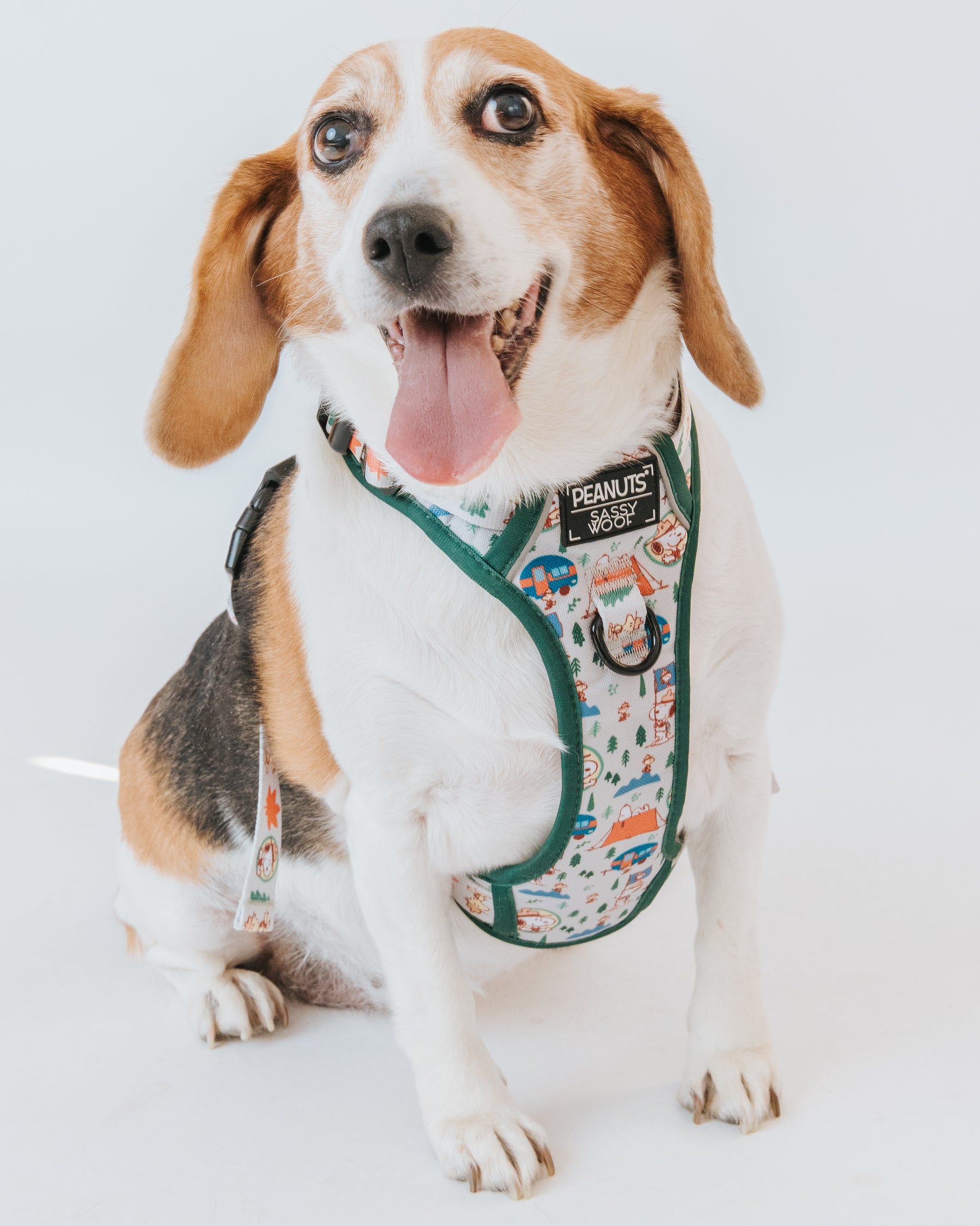 INFLUENCER_CONTENT | SIZE L